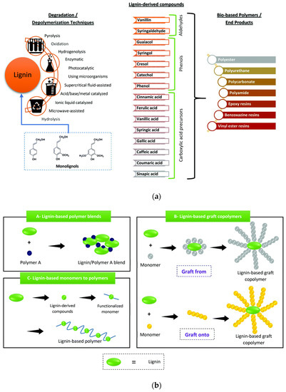 Polymers 14 05470 g002