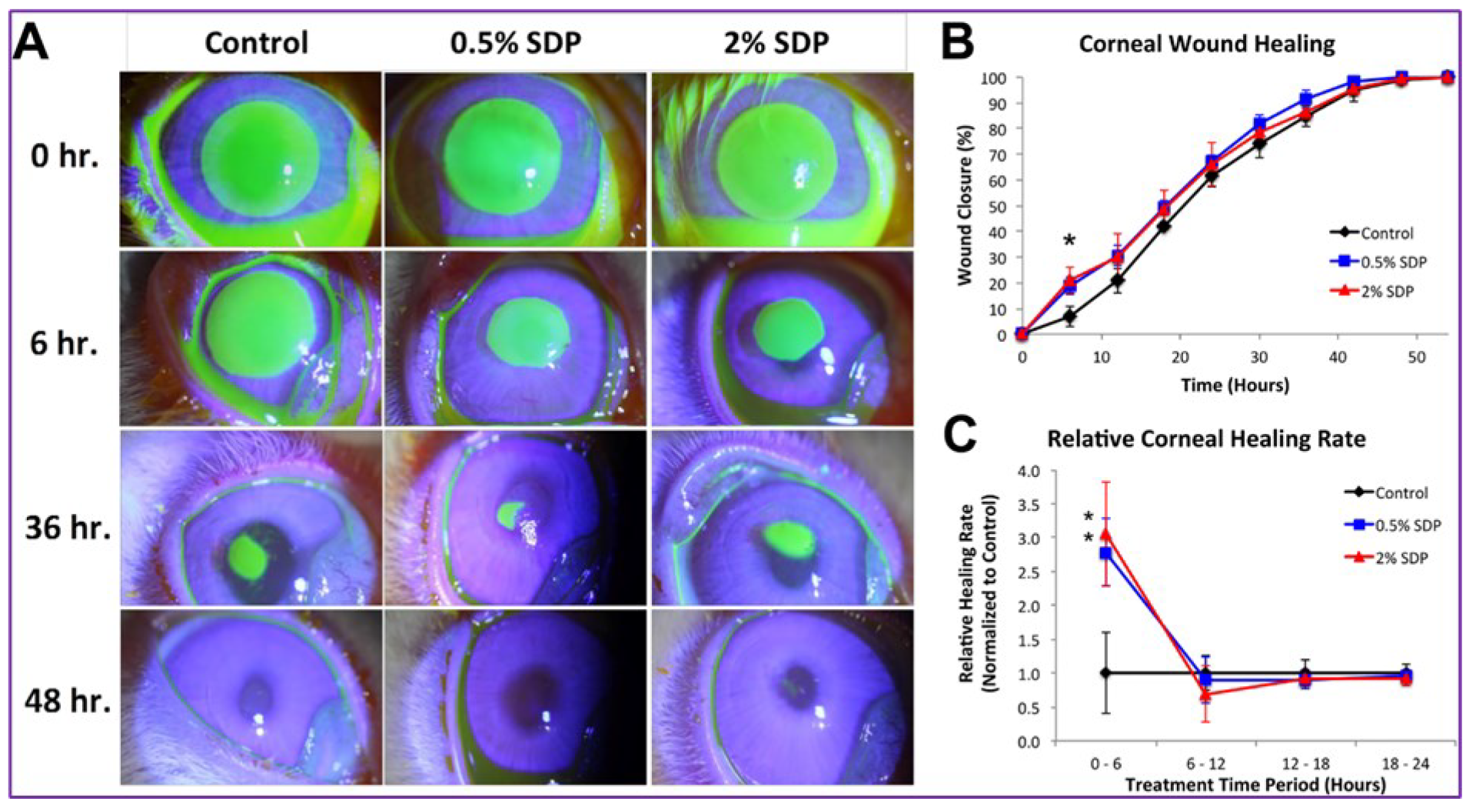 Polymers 14 05475 g002