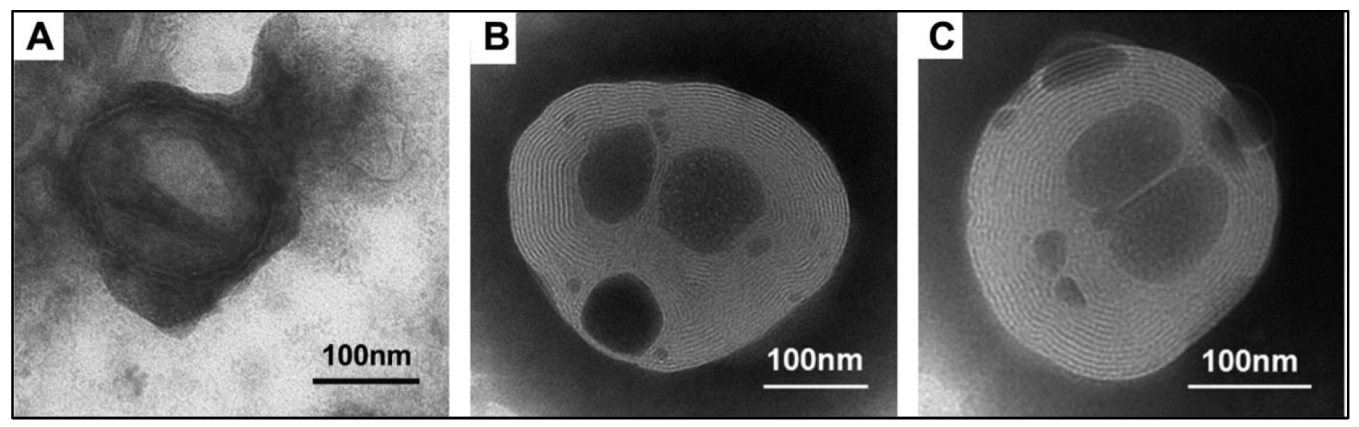 Polymers 14 05475 g003
