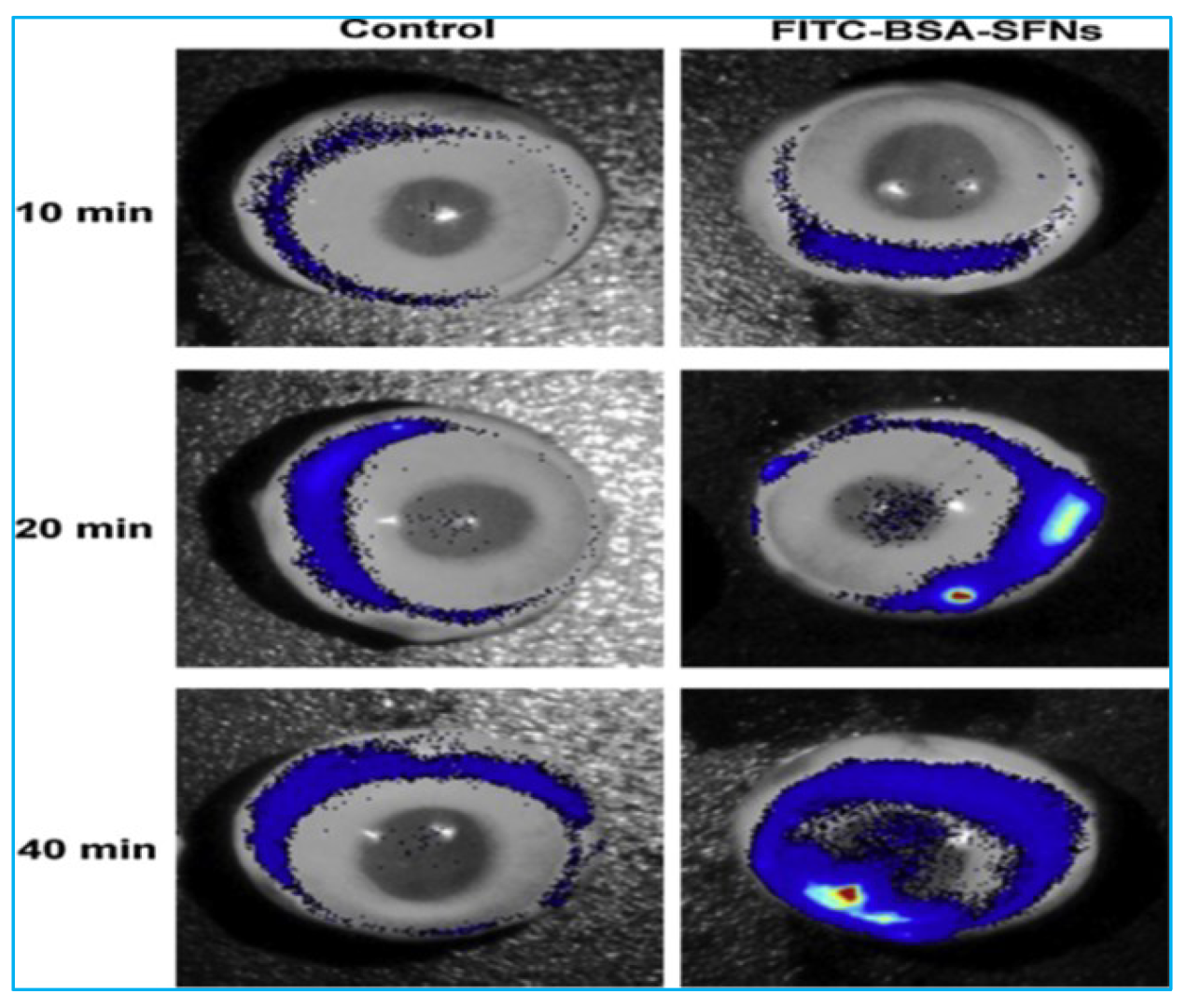 Polymers 14 05475 g006