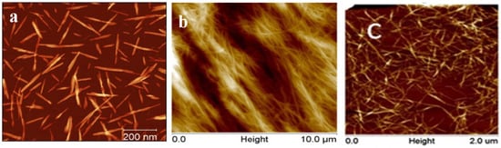 Polymers 14 05479 g001