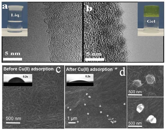 Polymers 14 05479 g004