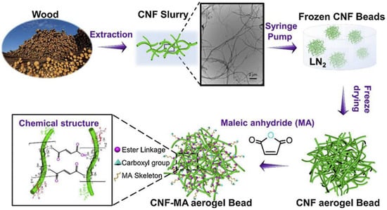 Polymers 14 05479 g005