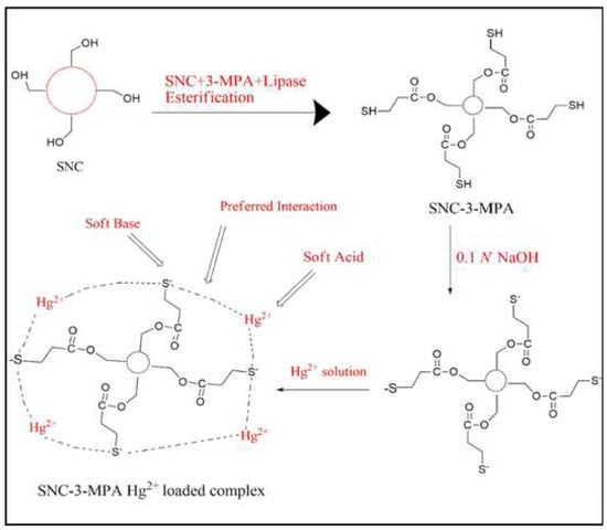 Polymers 14 05479 g006