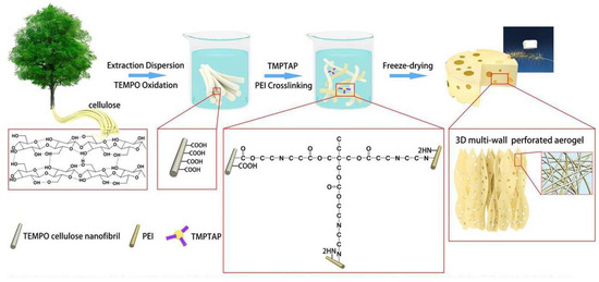 Polymers 14 05479 g008