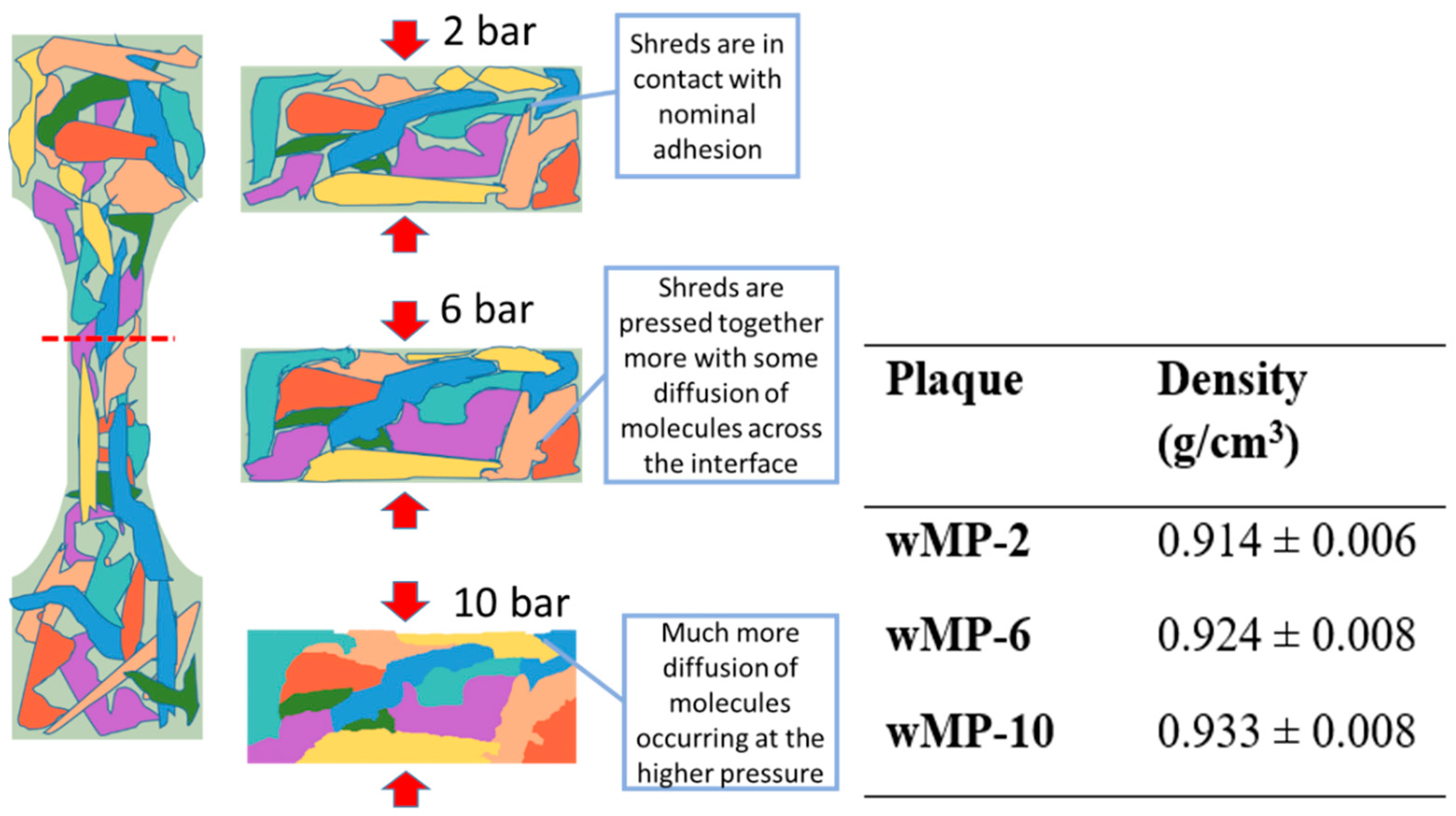 Polymers 14 05485 g008