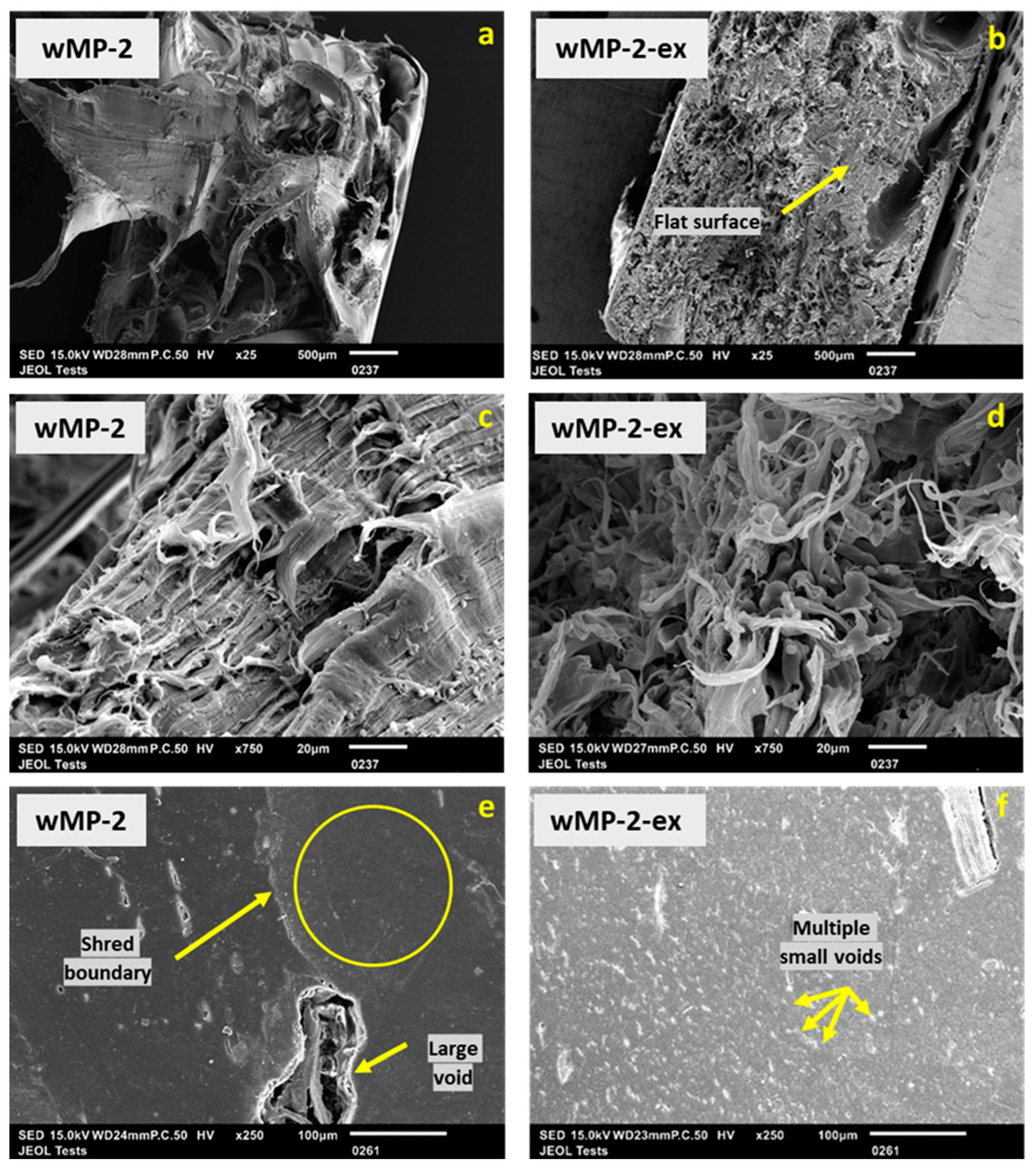 Polymers 14 05485 g013