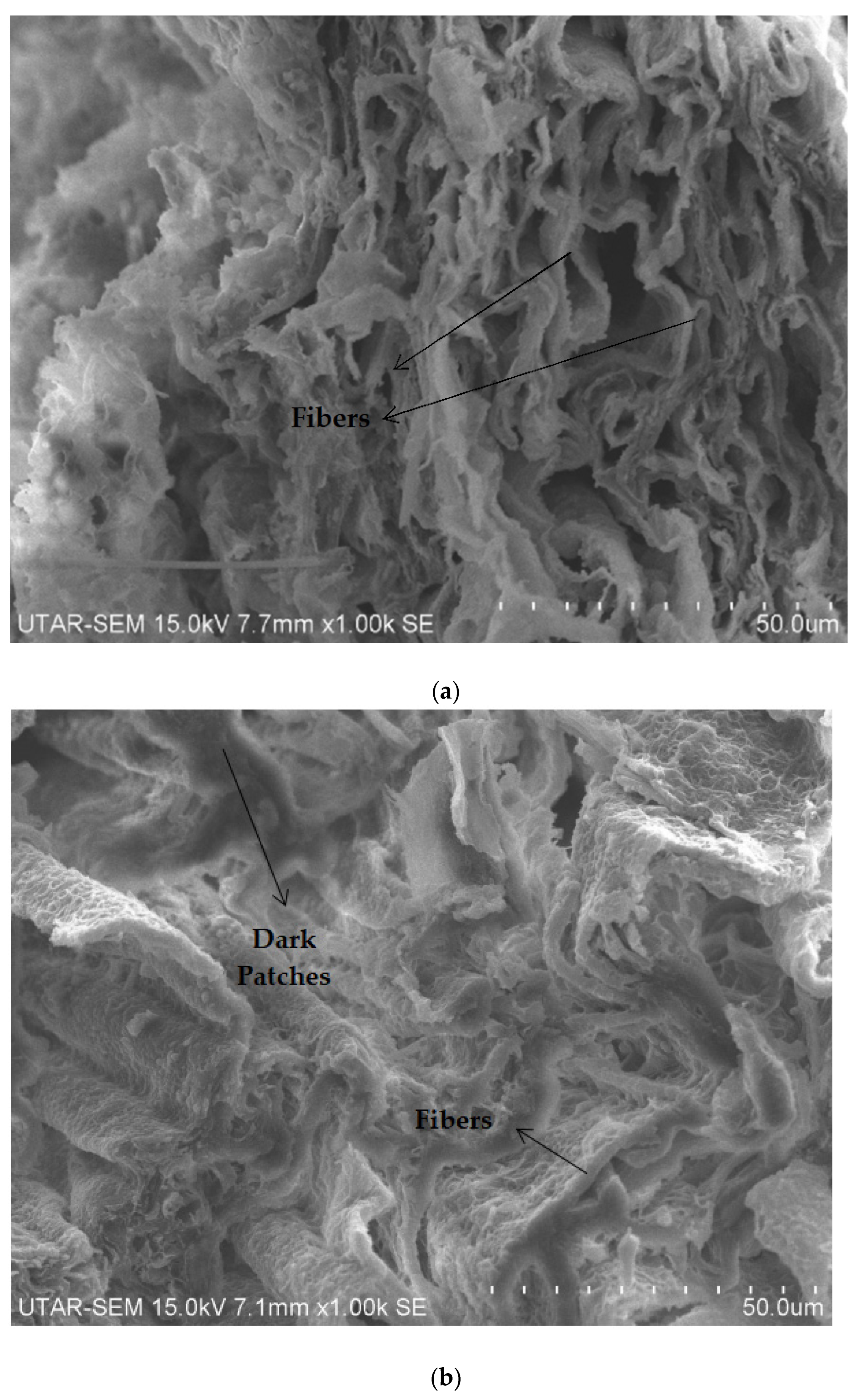 Polymers 14 05494 g015a
