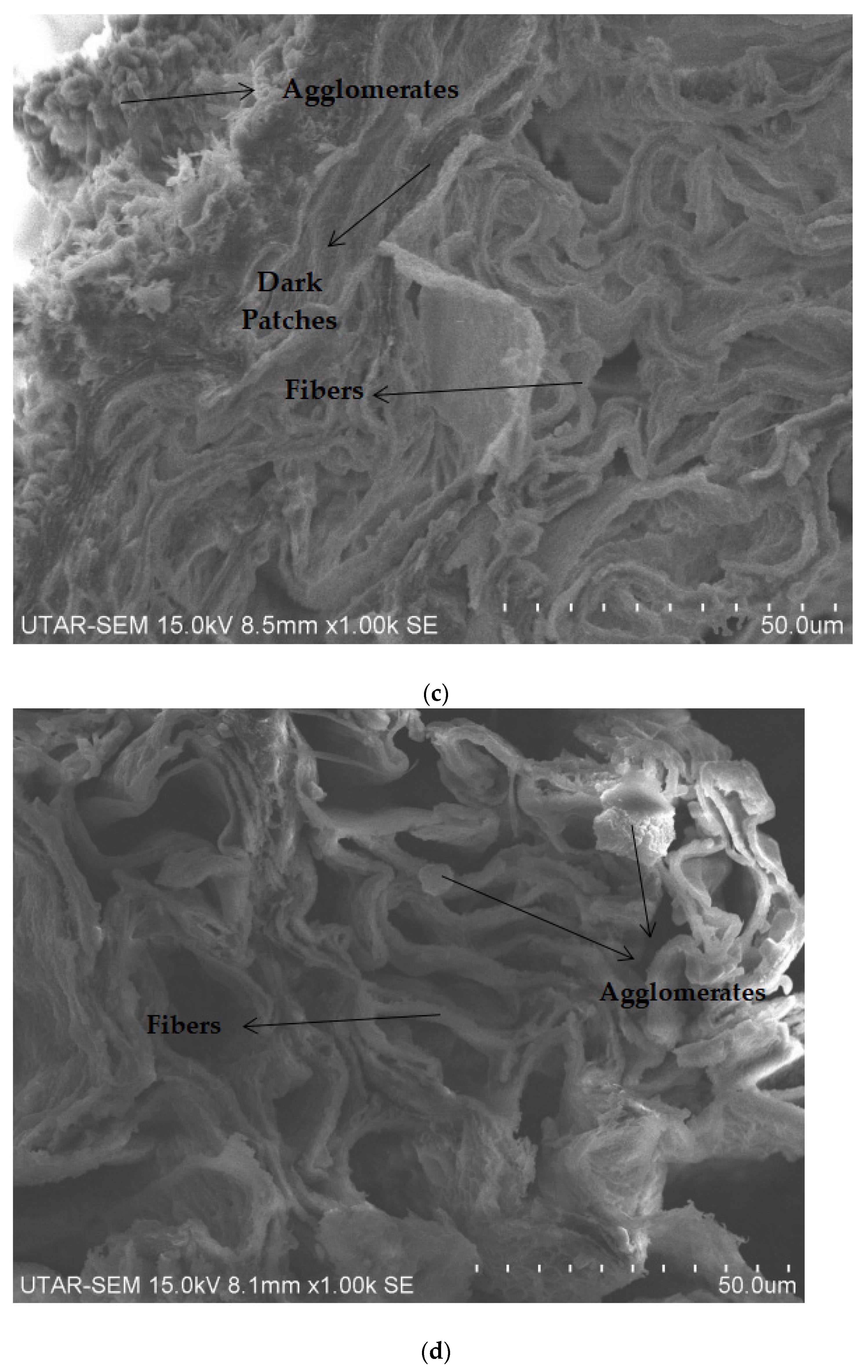Polymers 14 05494 g015b