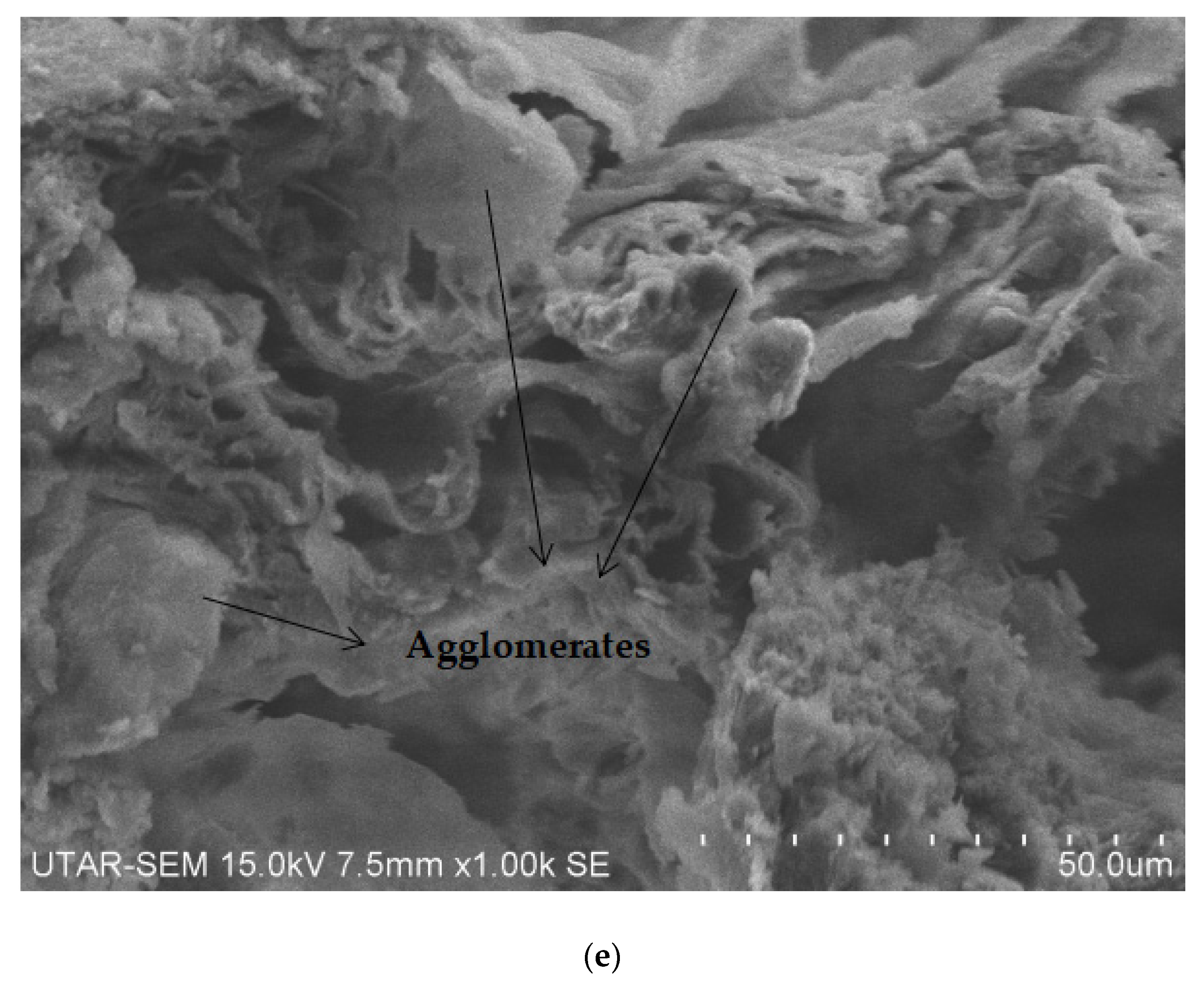 Polymers 14 05494 g015c