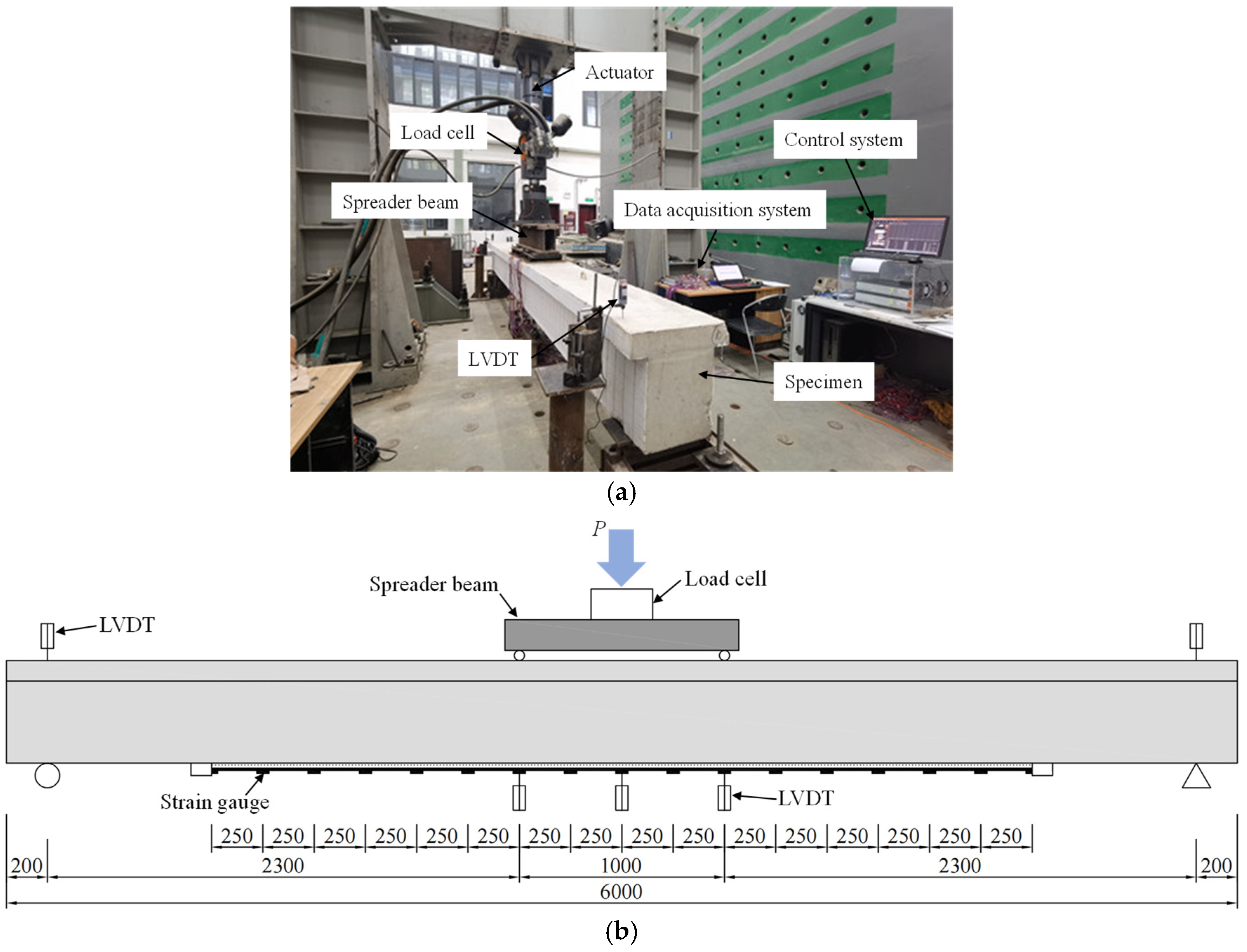 Polymers 14 05498 g005