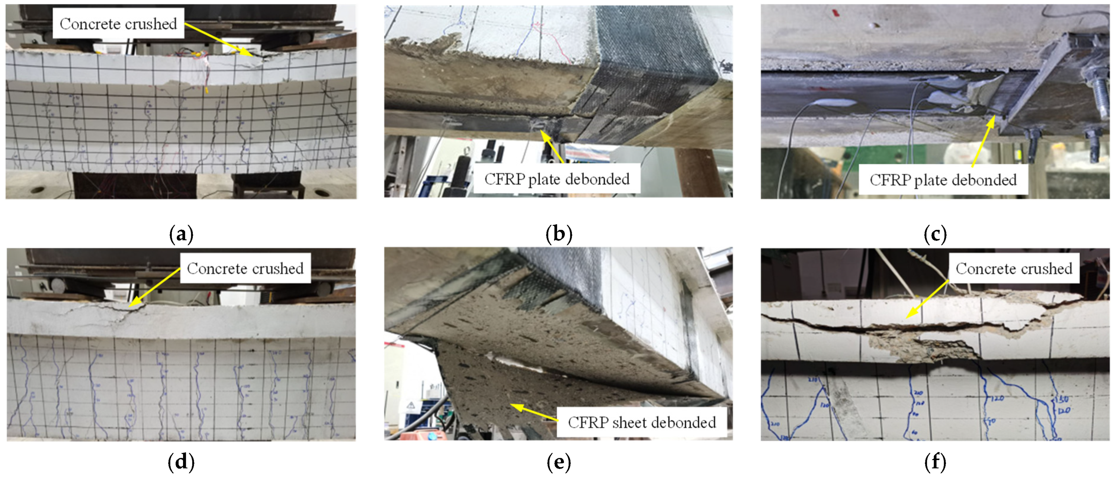 Polymers 14 05498 g006
