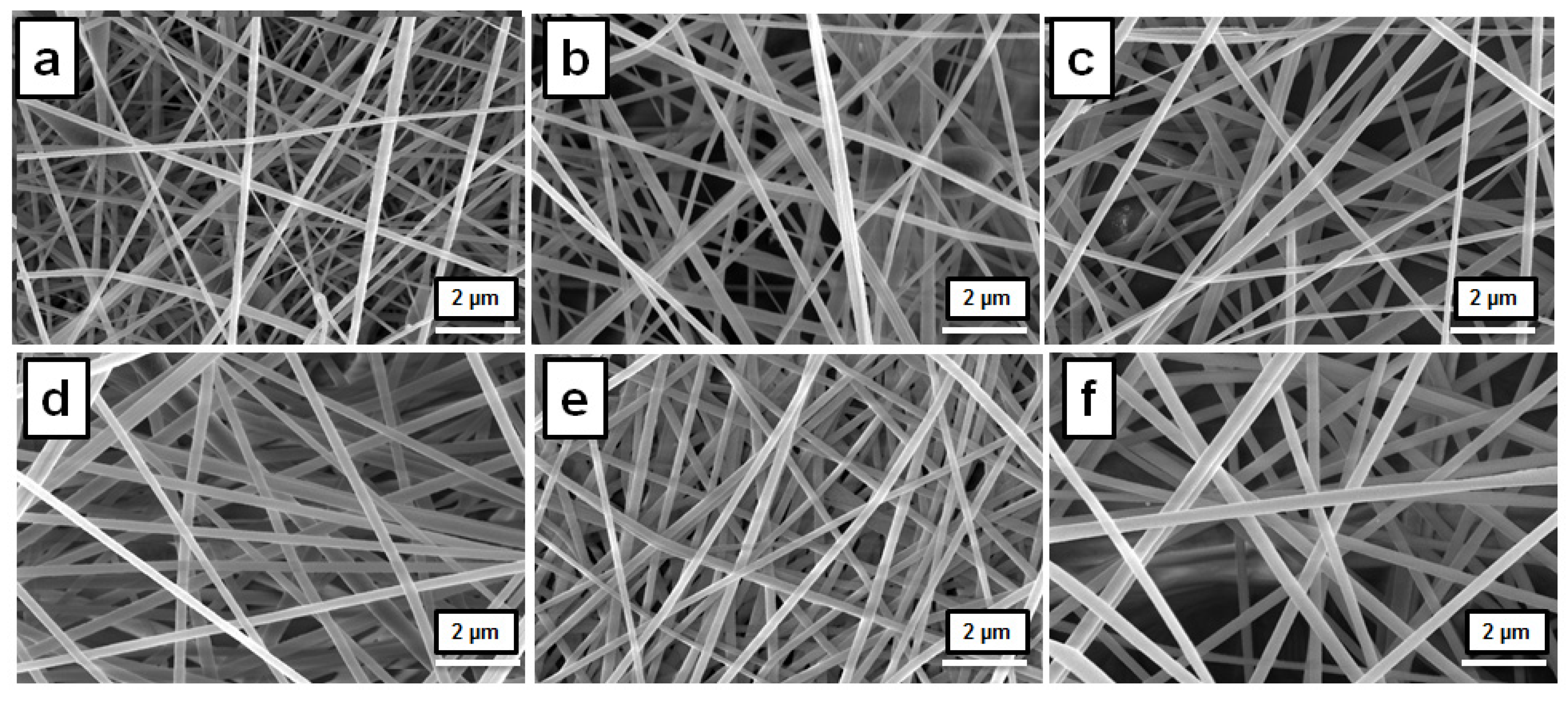 Polymers 14 05501 g006