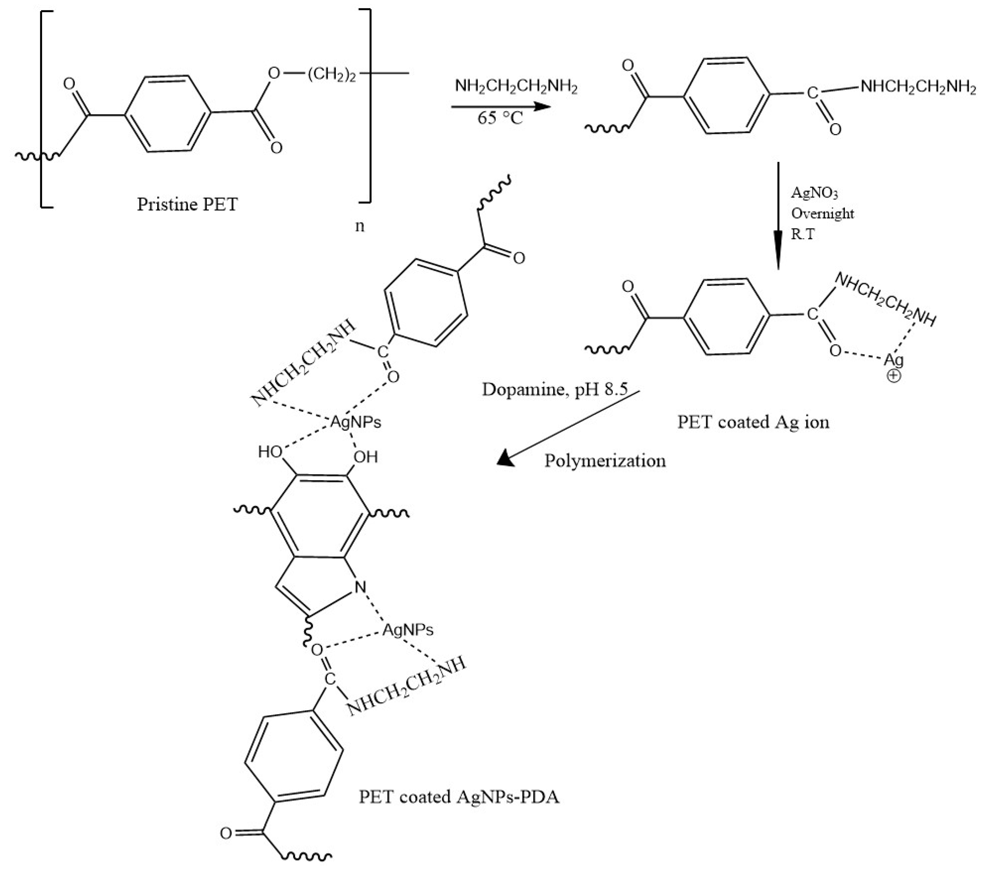 Polymers 14 05512 g001