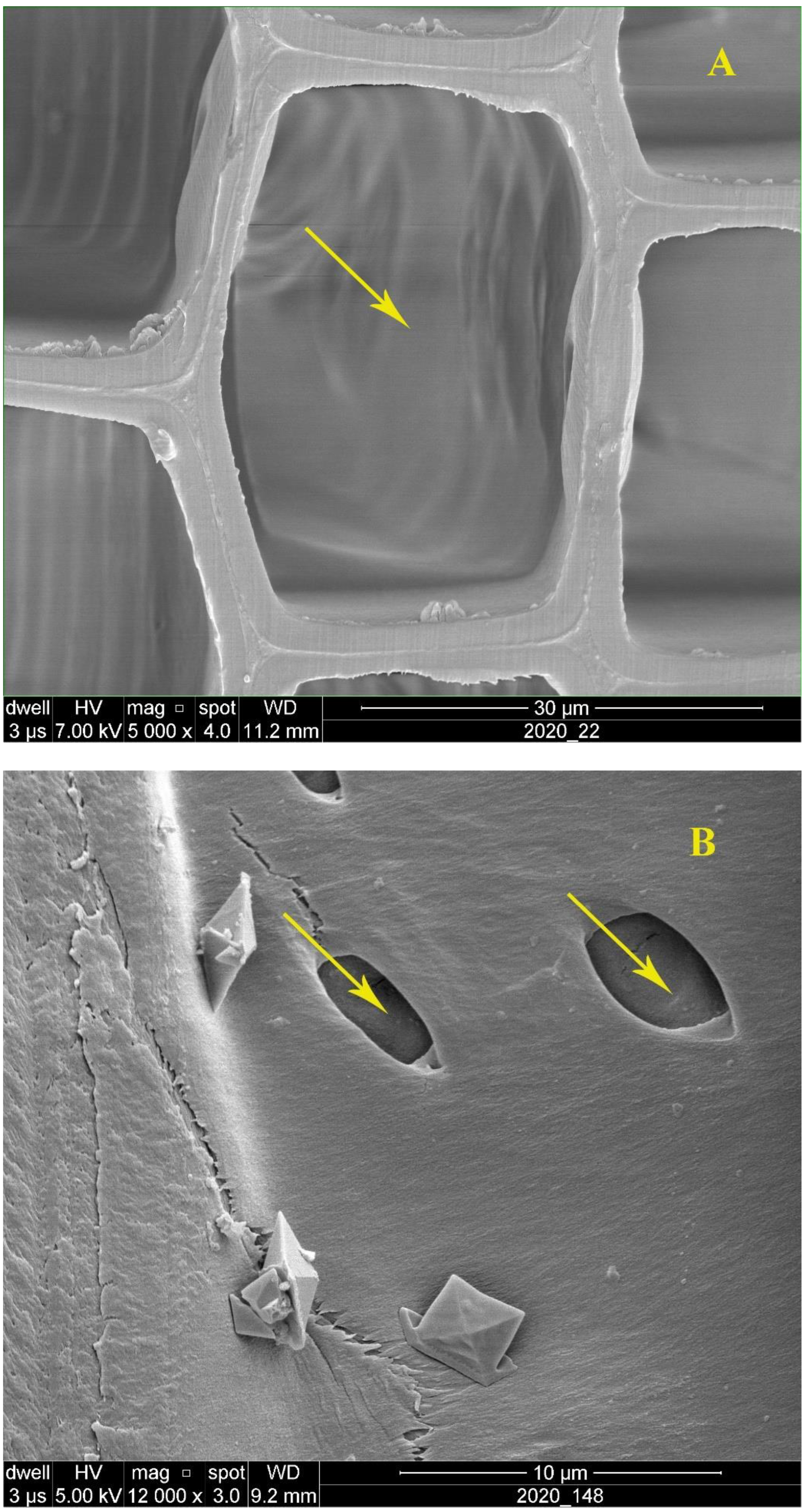 Polymers 14 05516 g004