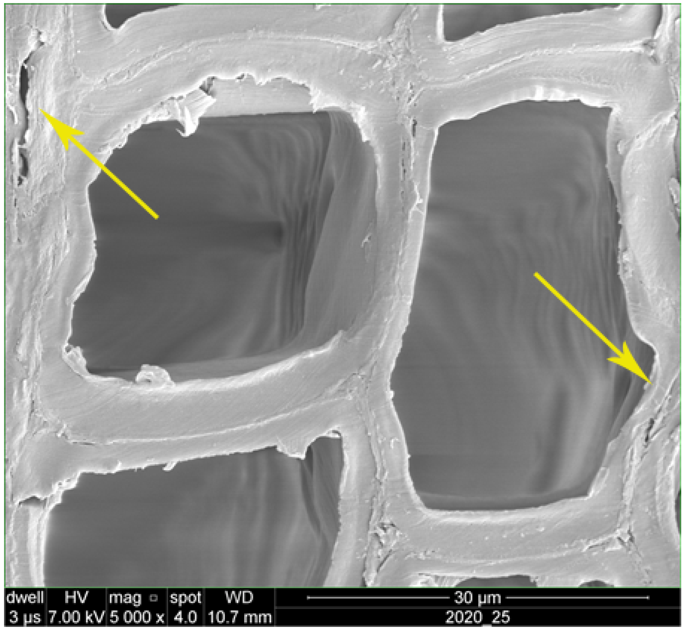 Polymers 14 05516 g005