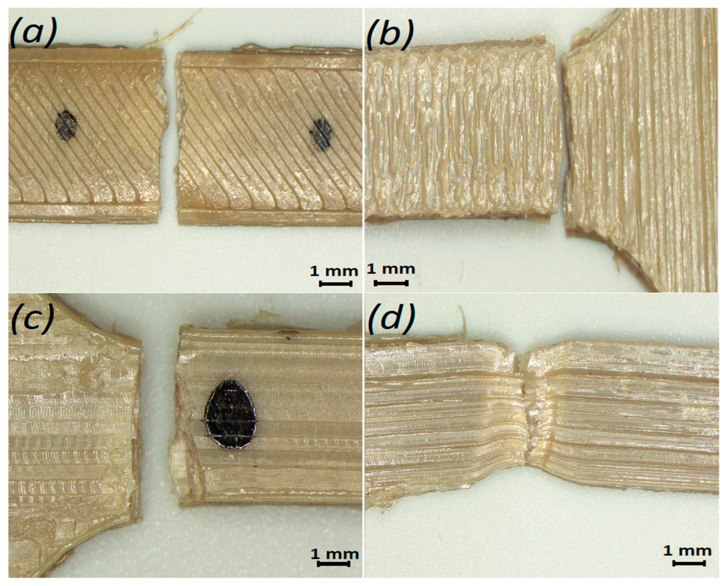 Polymers 14 05521 g009