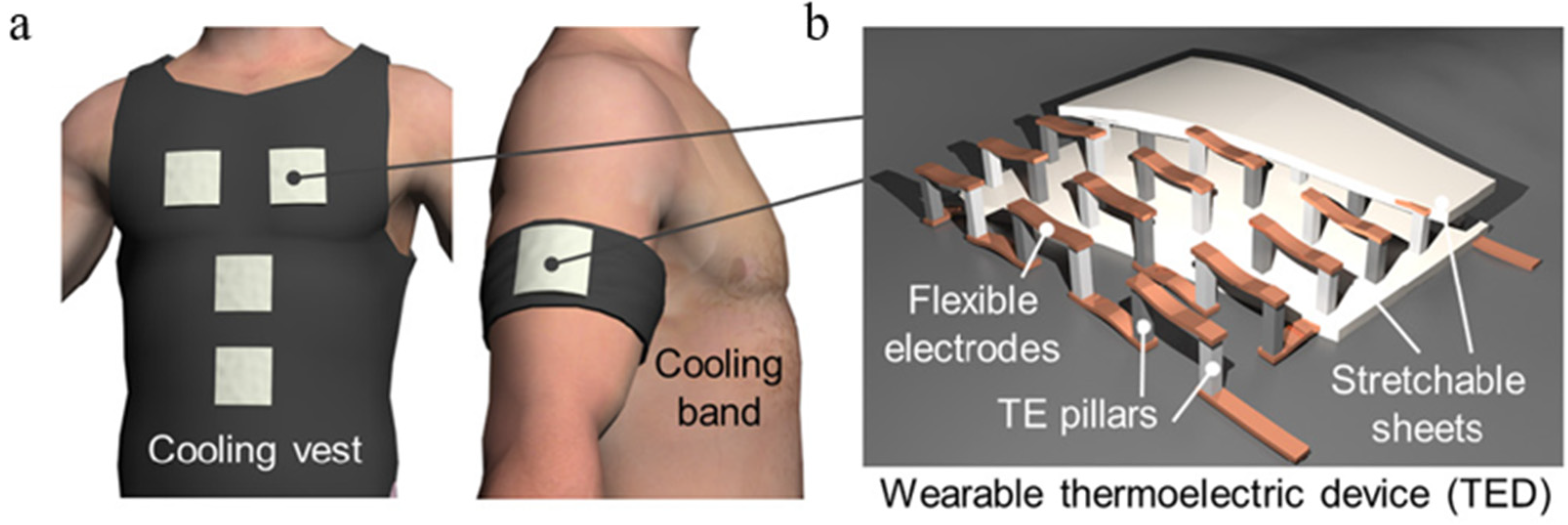 Polymers 14 05522 g007
