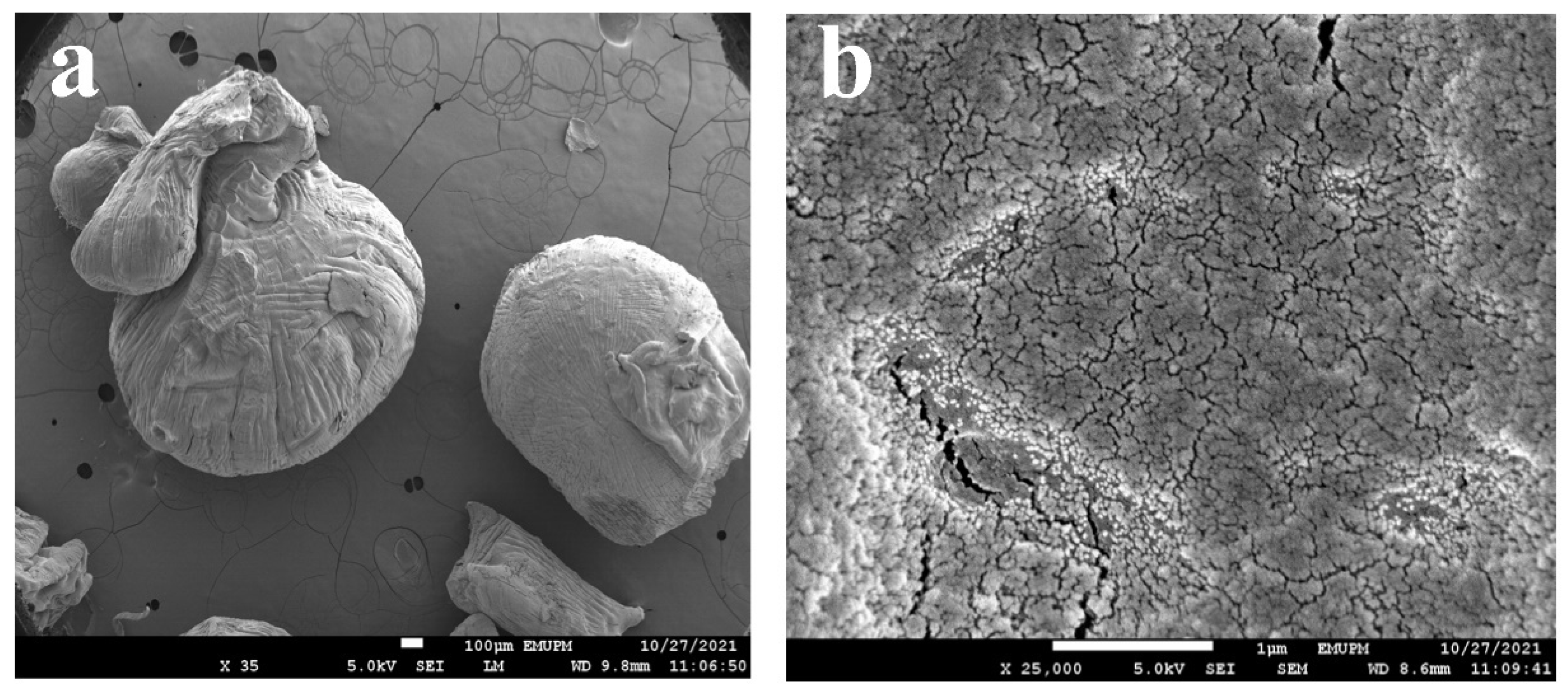 Polymers 14 05524 g003 Polymers 14 05524 g003