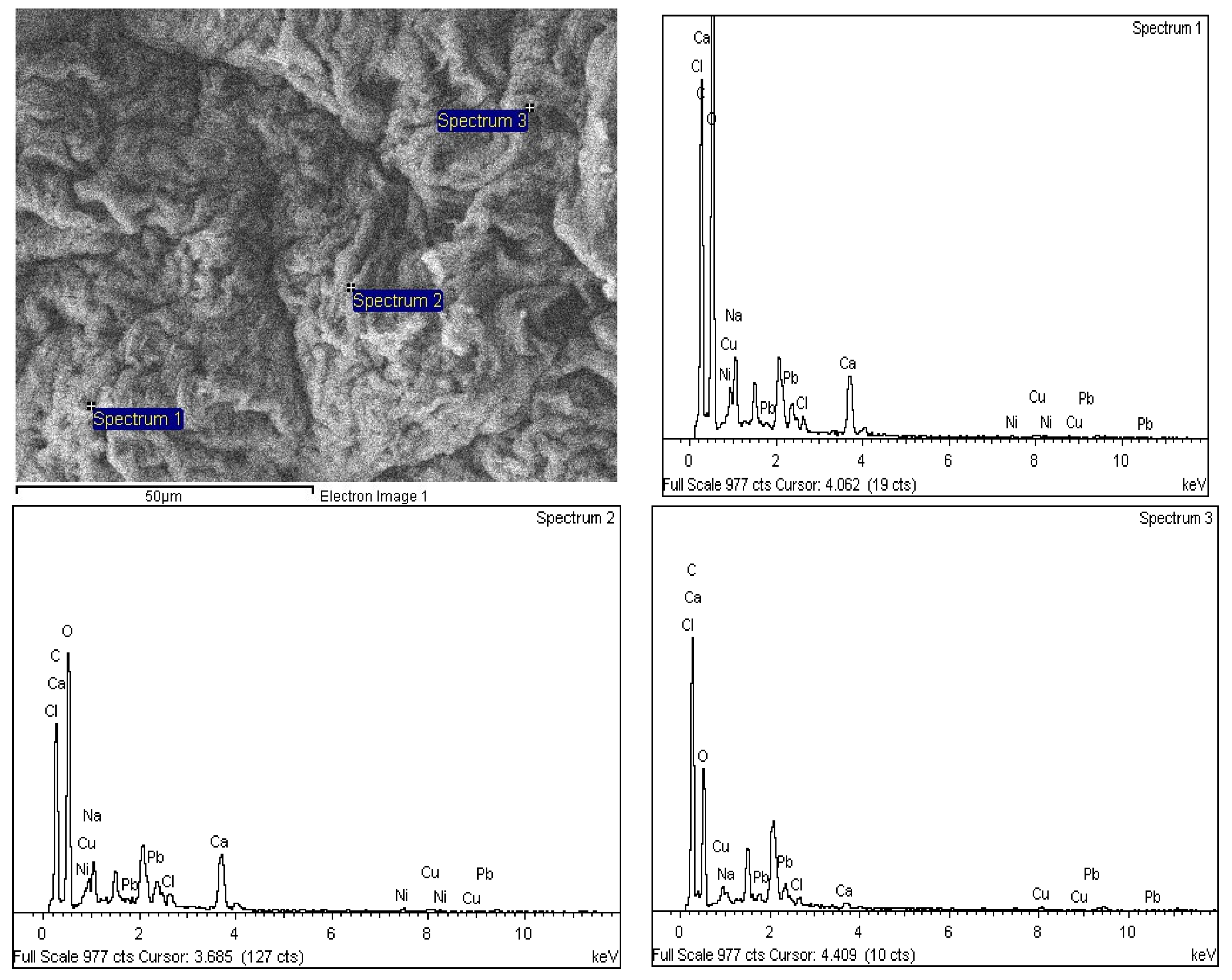 Polymers 14 05524 g016 Polymers 14 05524 g016