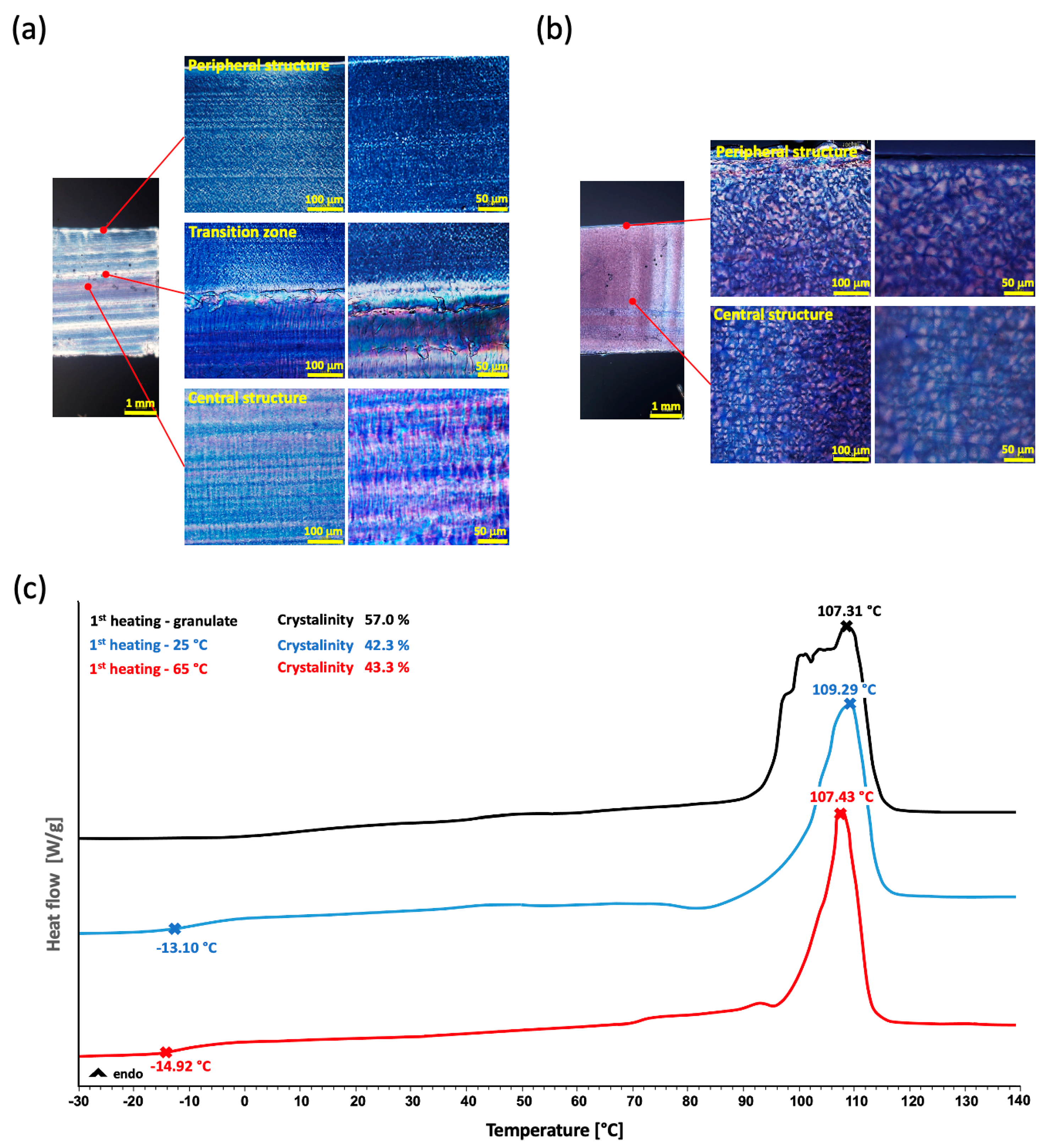 Polymers 14 05528 g005