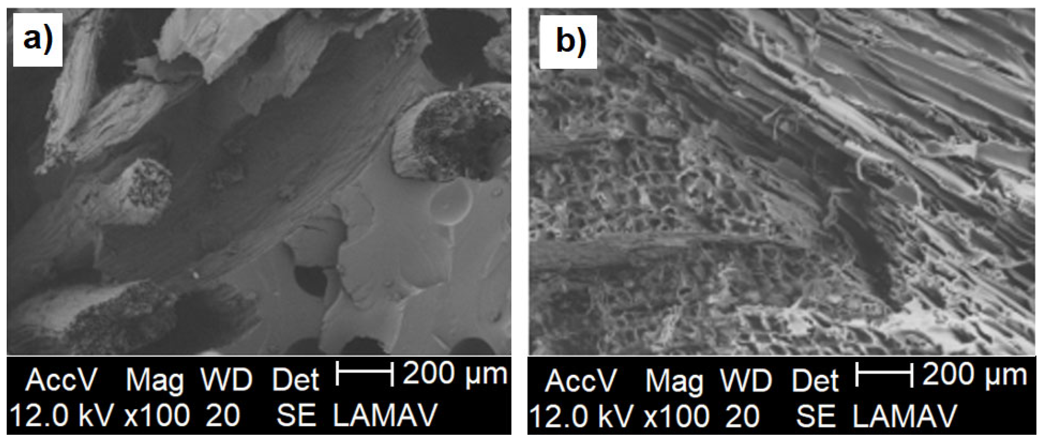 Polymers 14 05533 g005
