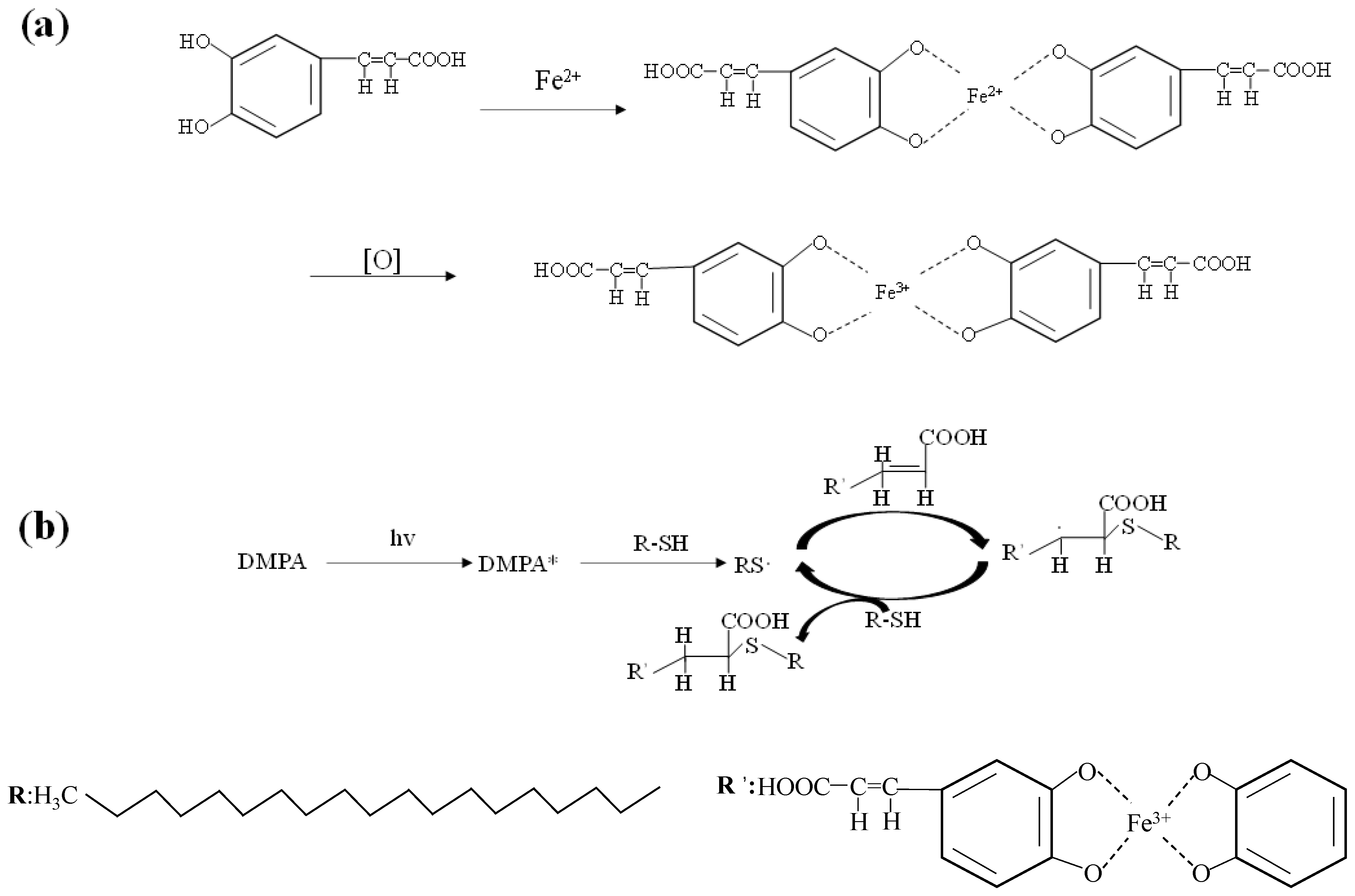 Polymers 14 05536 g001