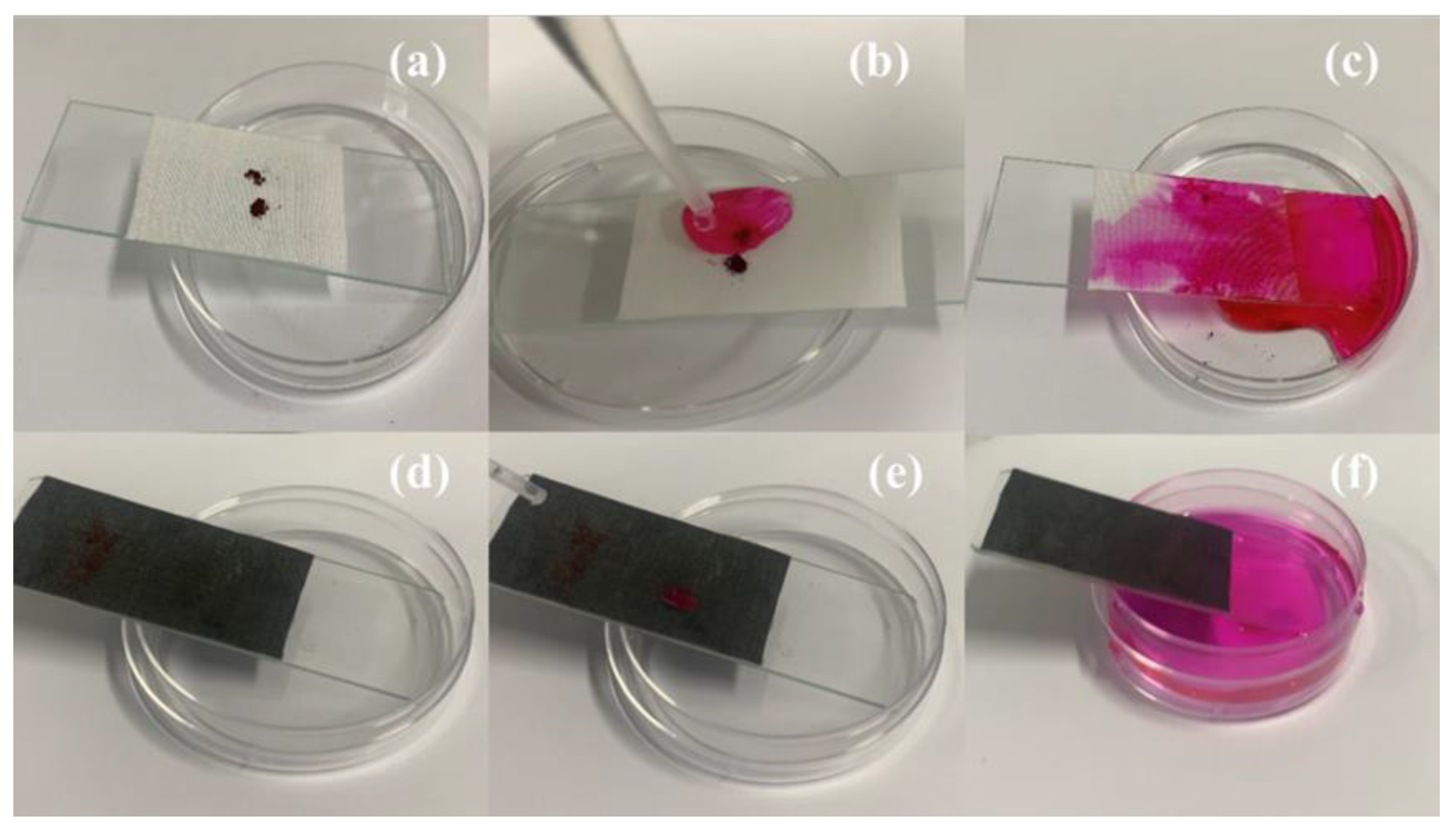 Polymers 14 05536 g008