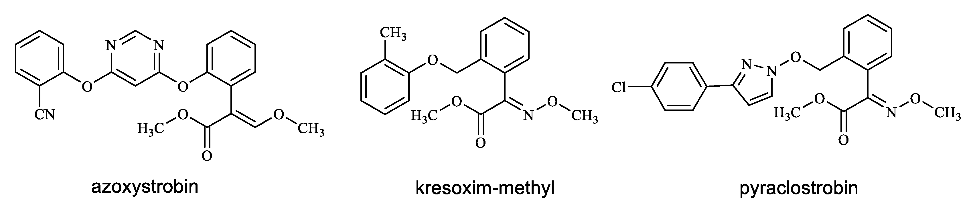 Polymers 14 05537 g001