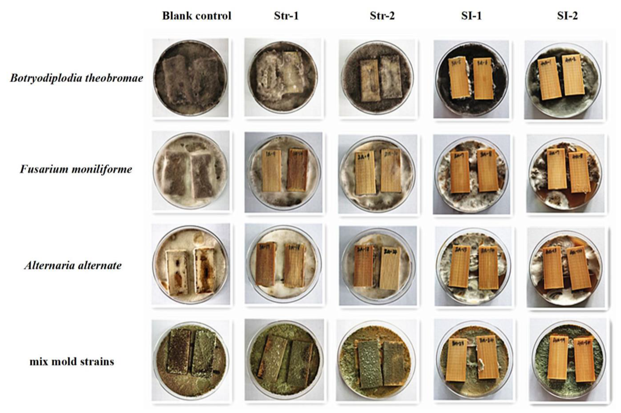Polymers 14 05537 g003