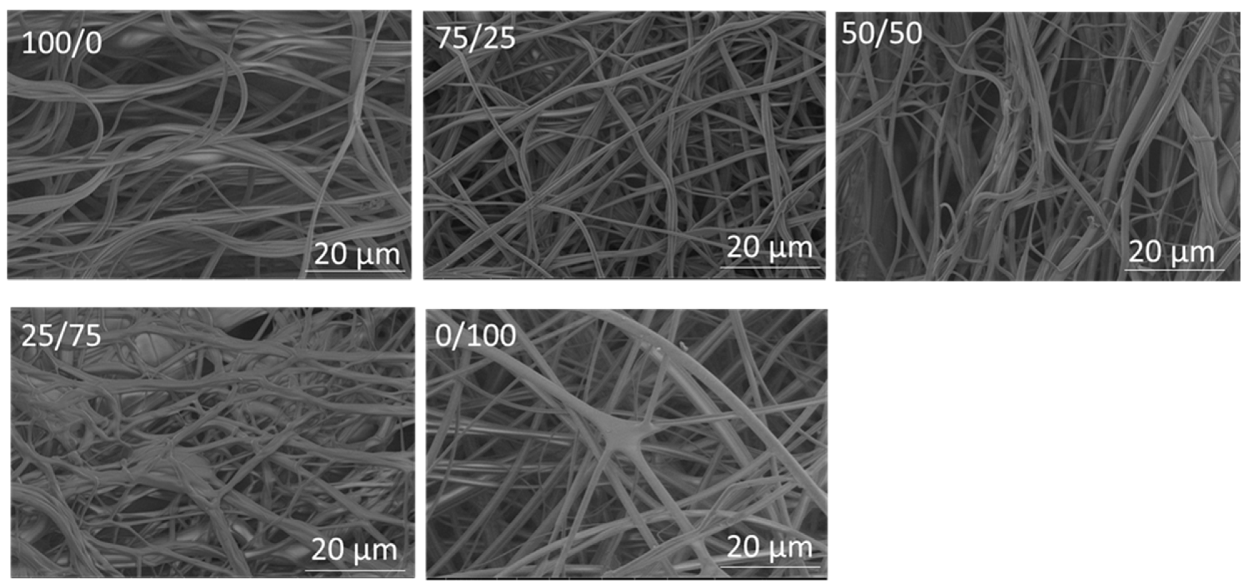 Polymers 14 05541 g003