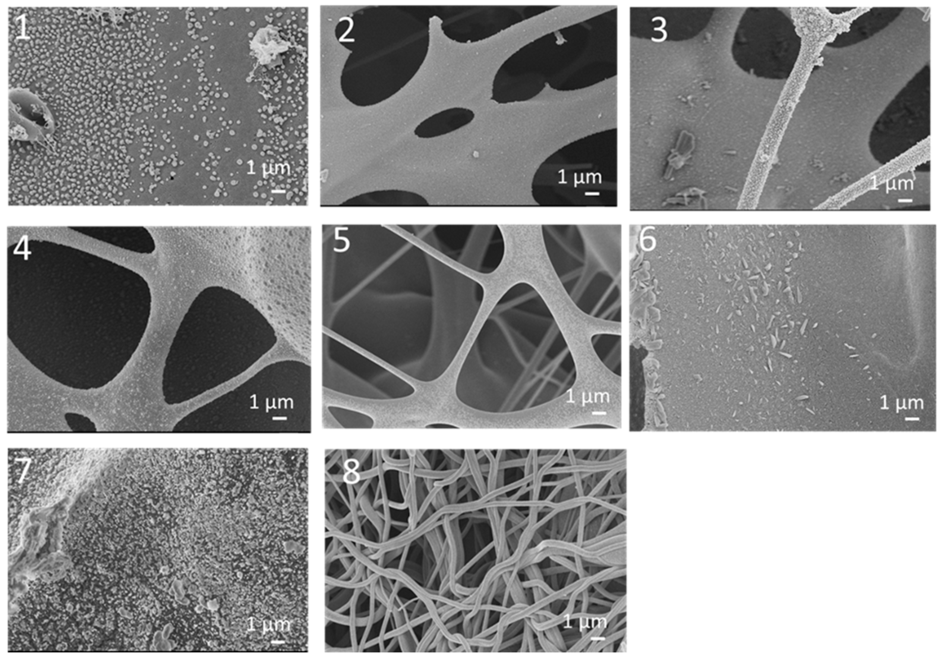 Polymers 14 05541 g005