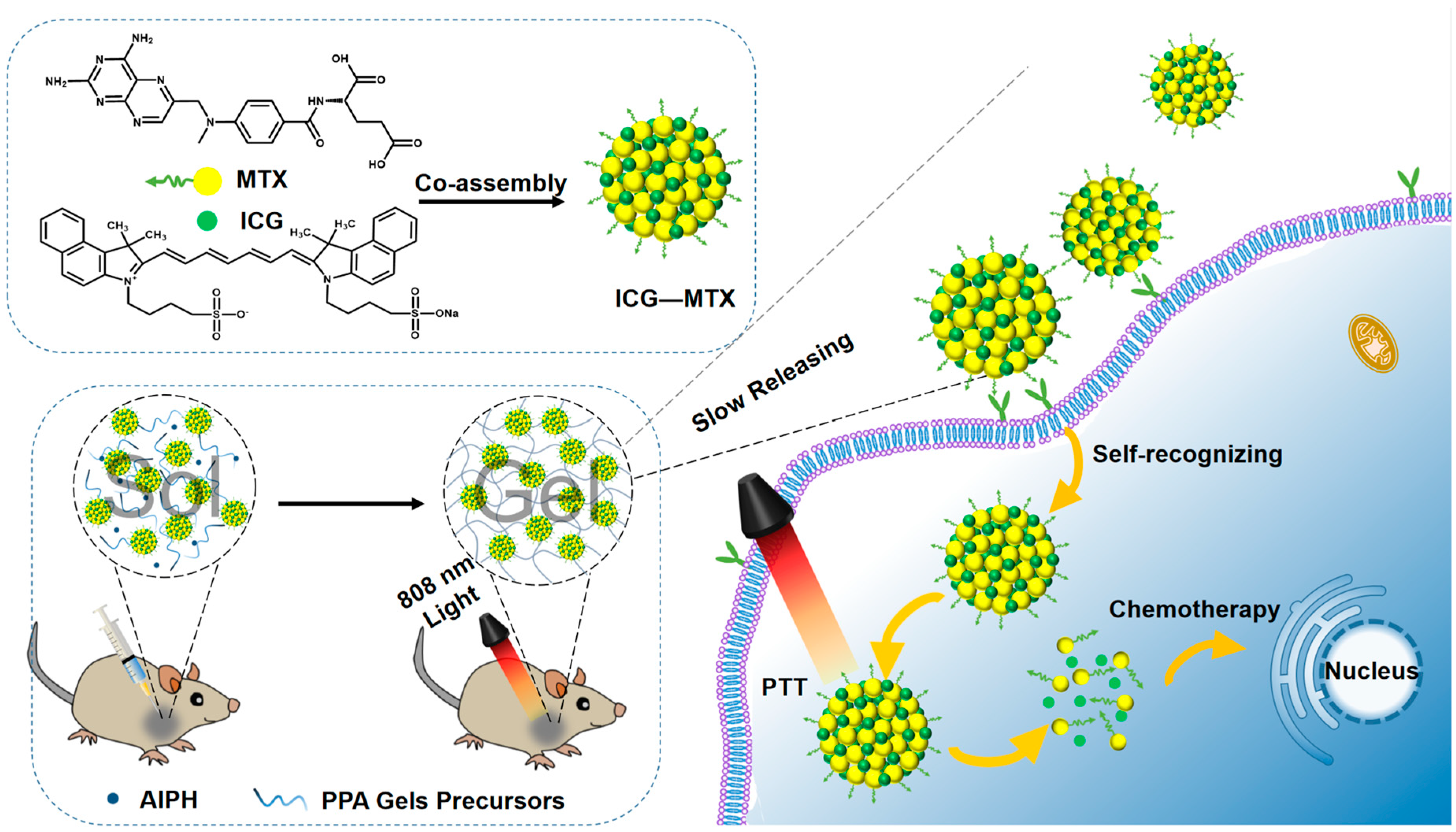 Polymers 14 05547 g001