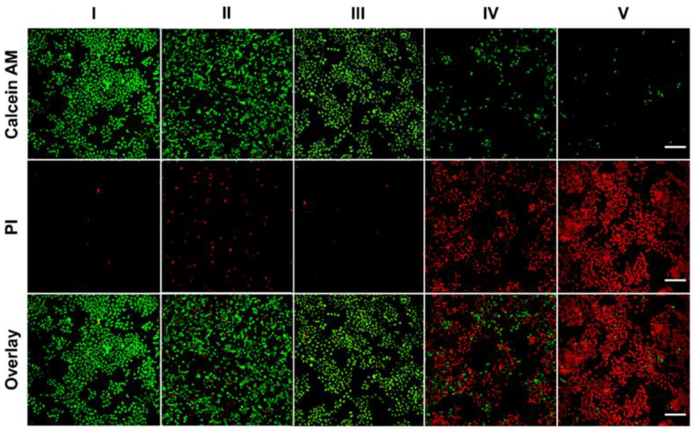 Polymers 14 05547 g010