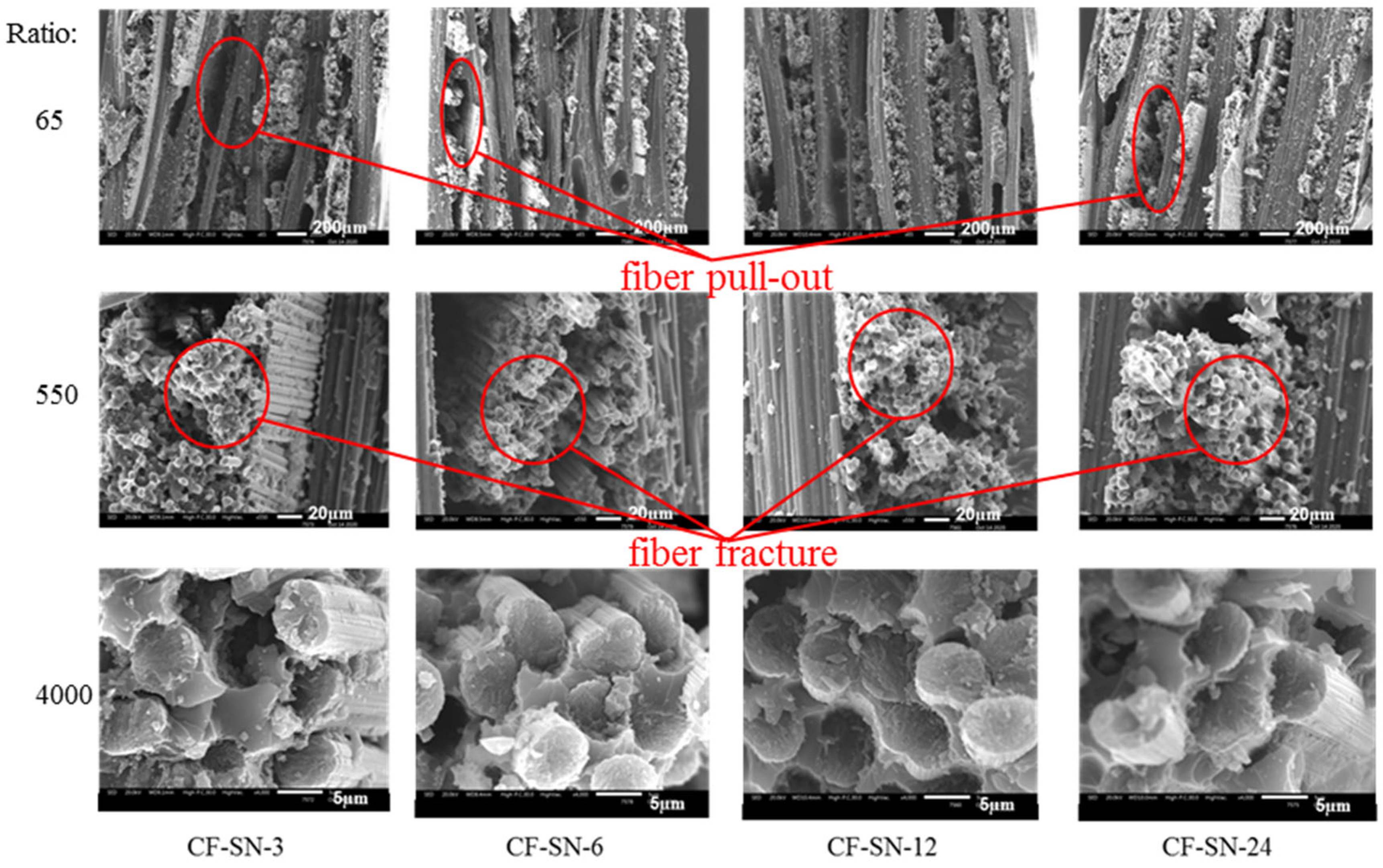Polymers 14 05552 g013