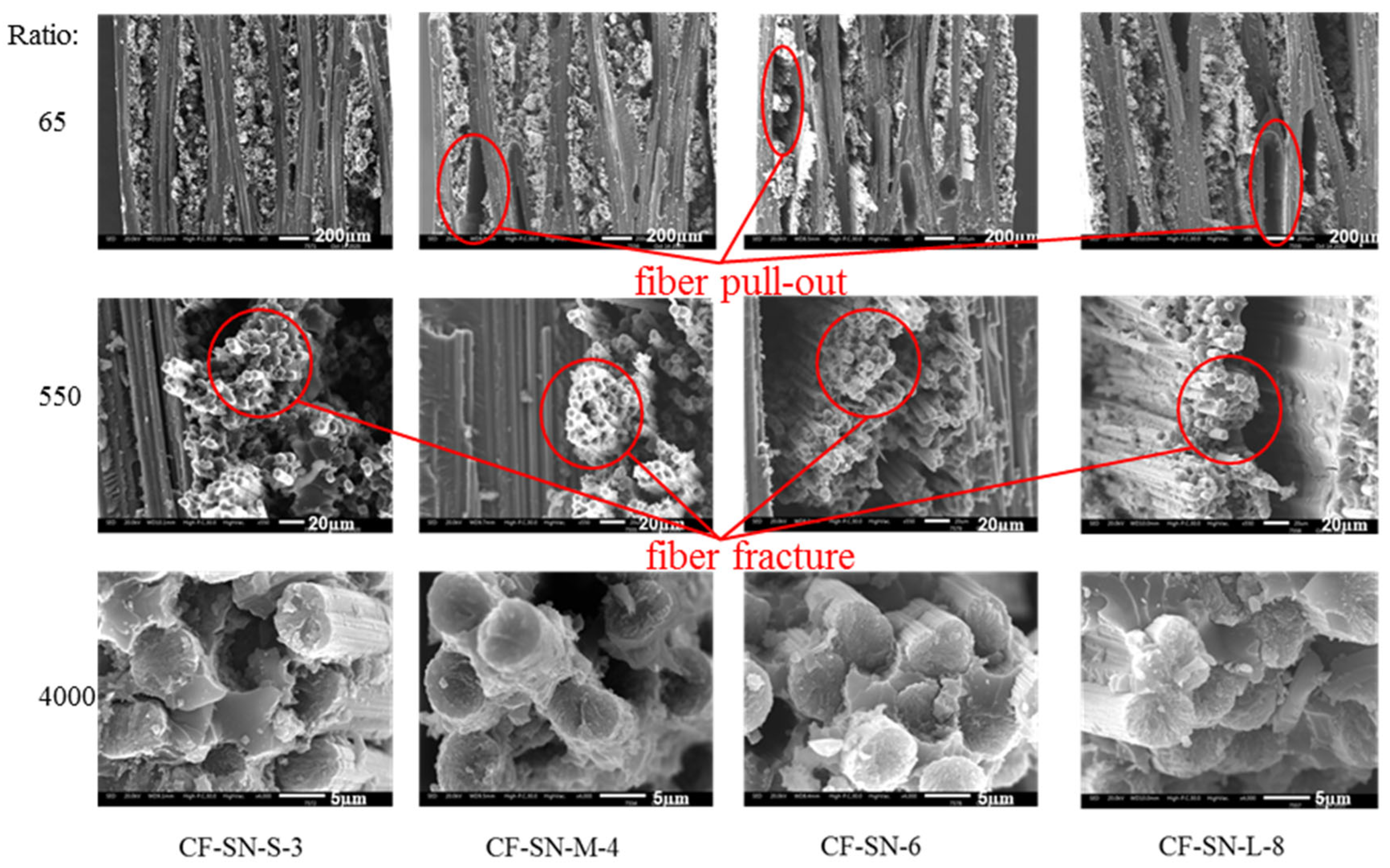 Polymers 14 05552 g014