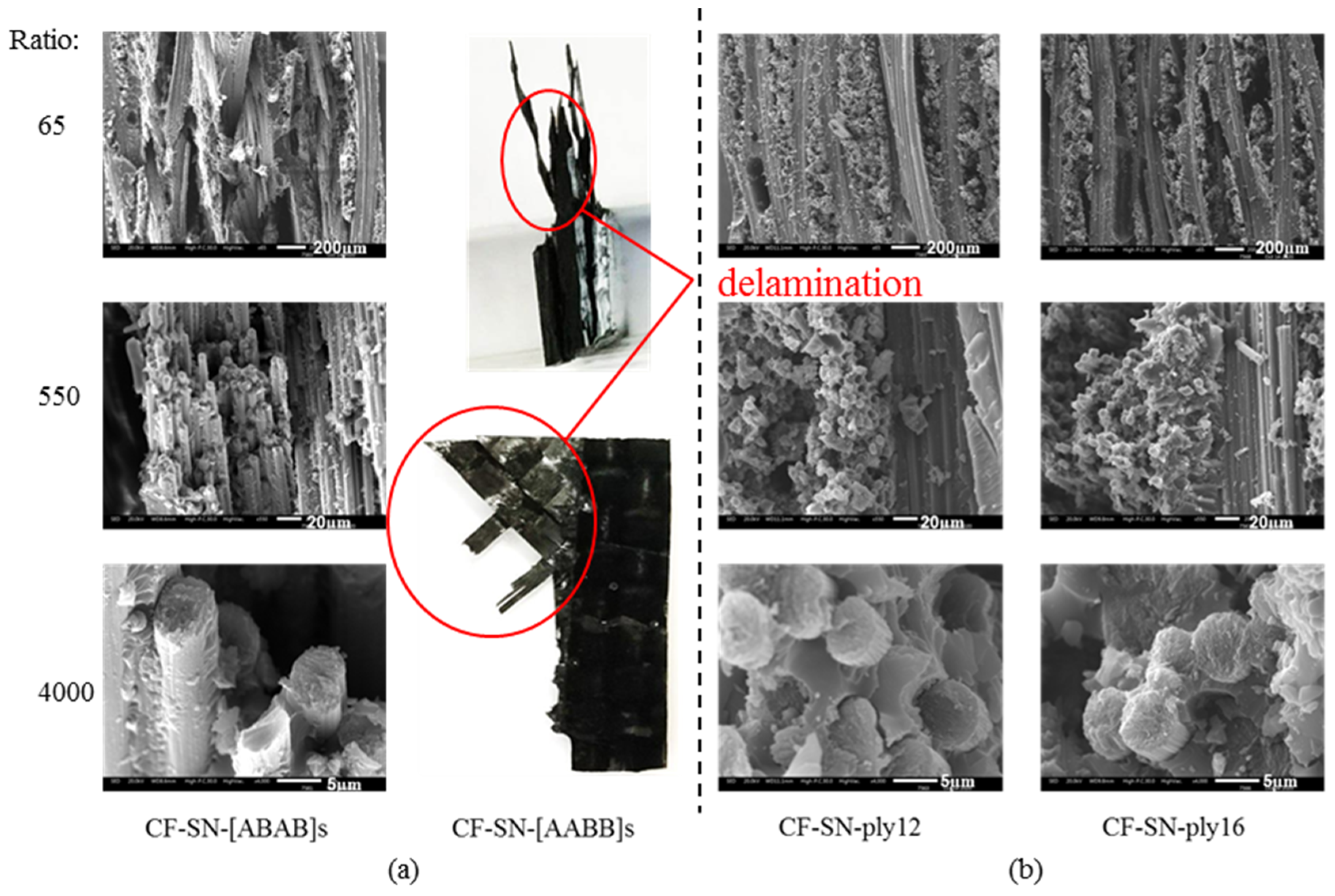 Polymers 14 05552 g015