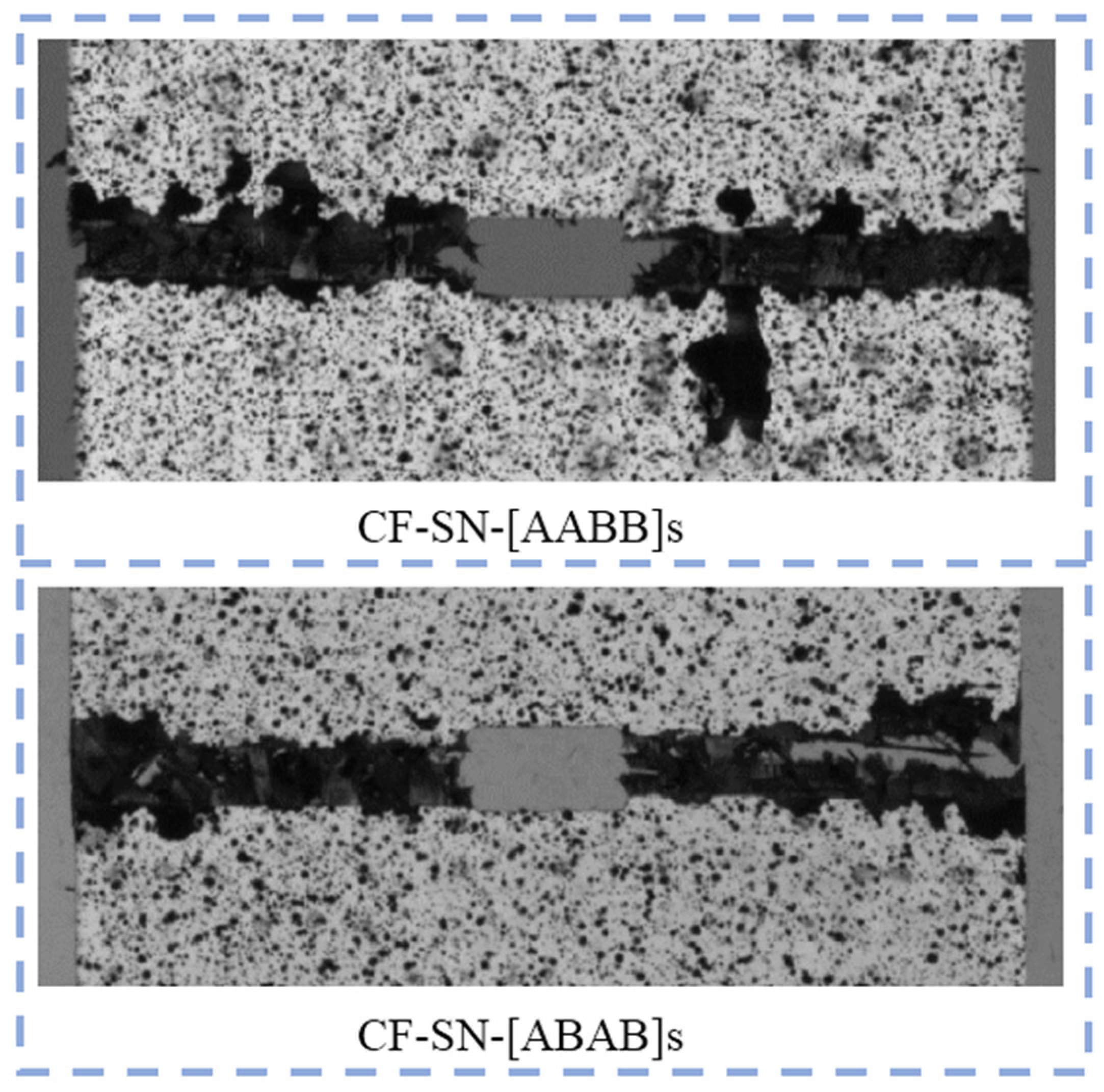 Polymers 14 05552 g017
