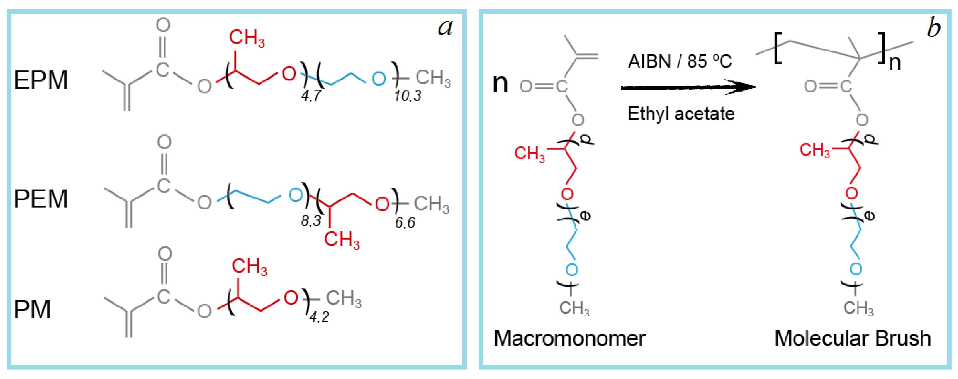 Polymers 14 05556 g001