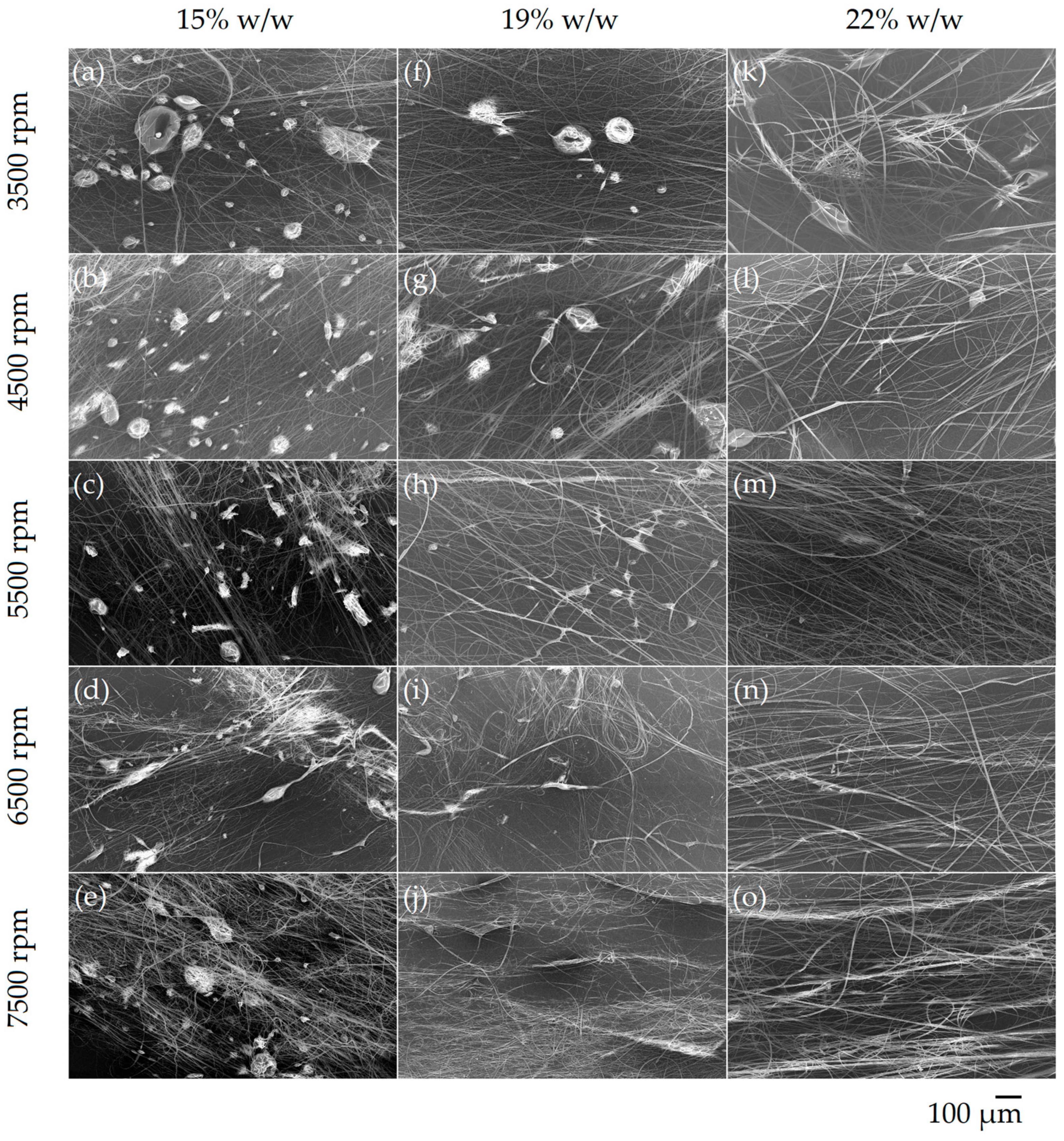 Polymers 14 05557 g002