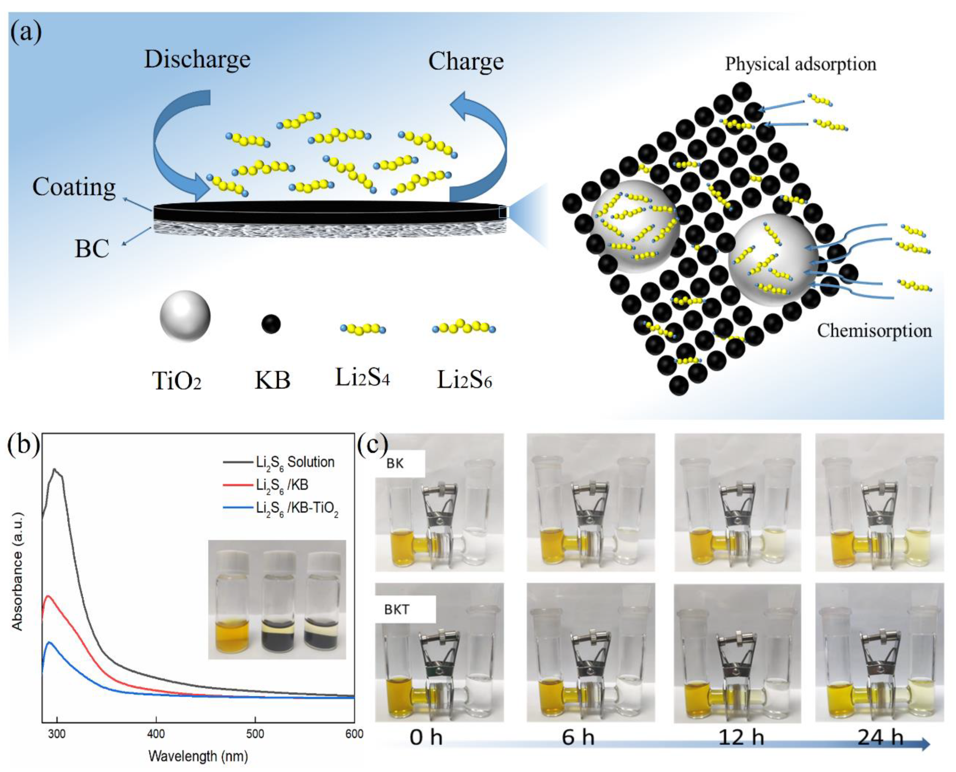 Polymers 14 05559 g002