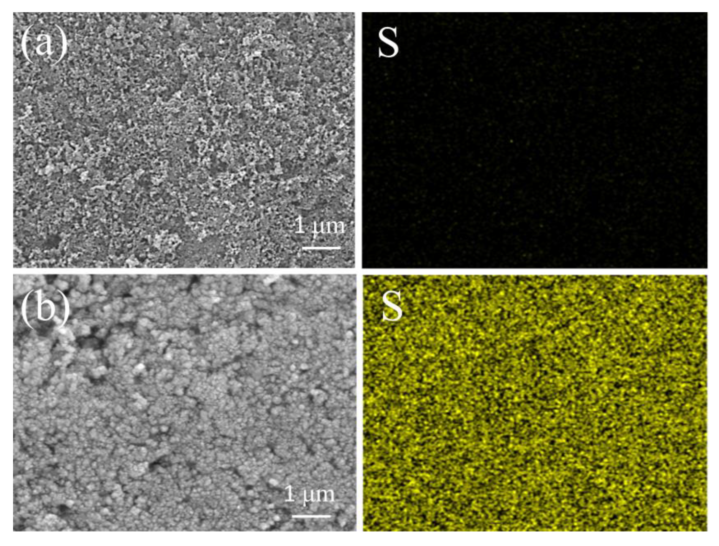 Polymers 14 05559 g005