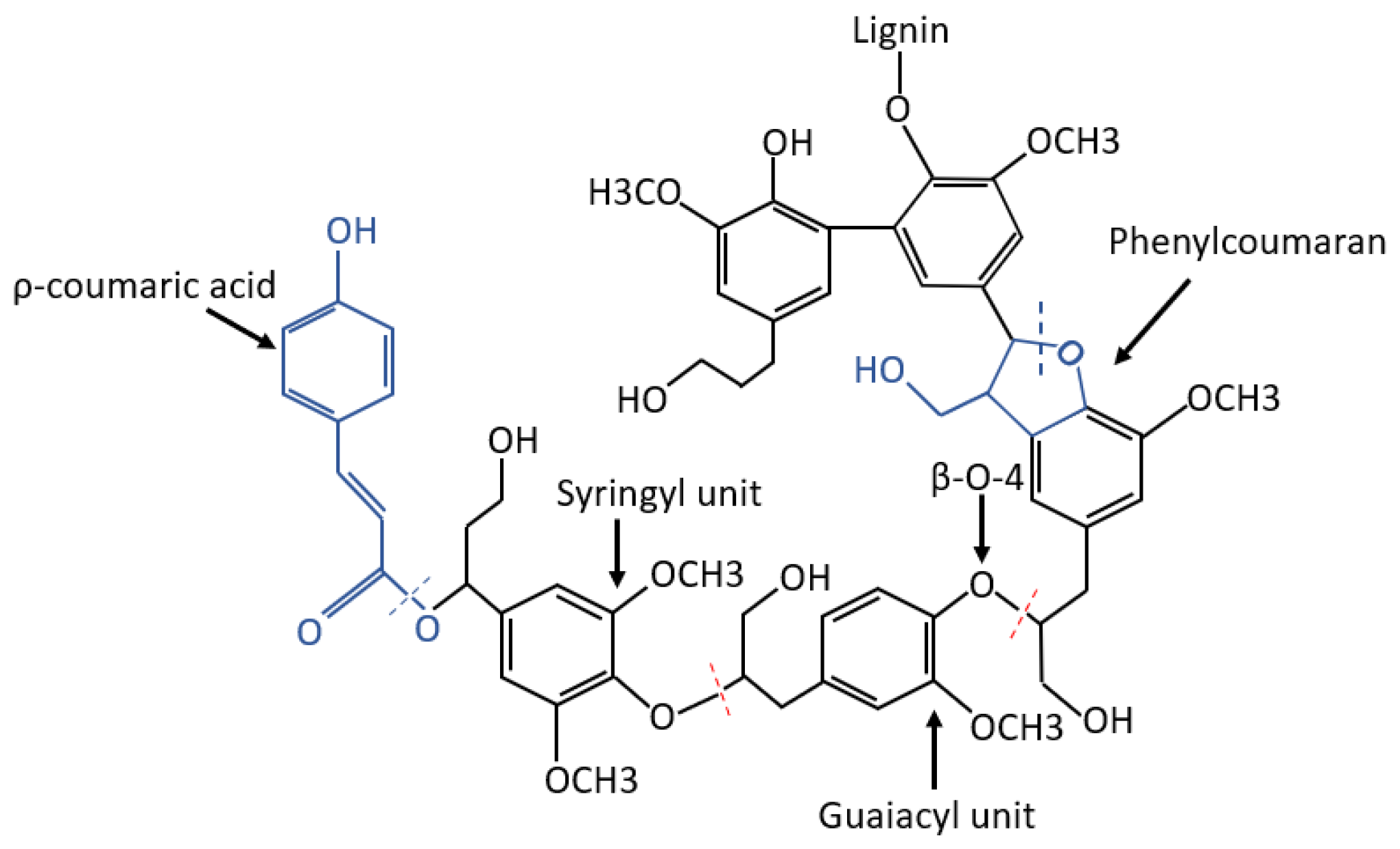 Polymers 15 00006 g002 Polymers 15 00006 g002