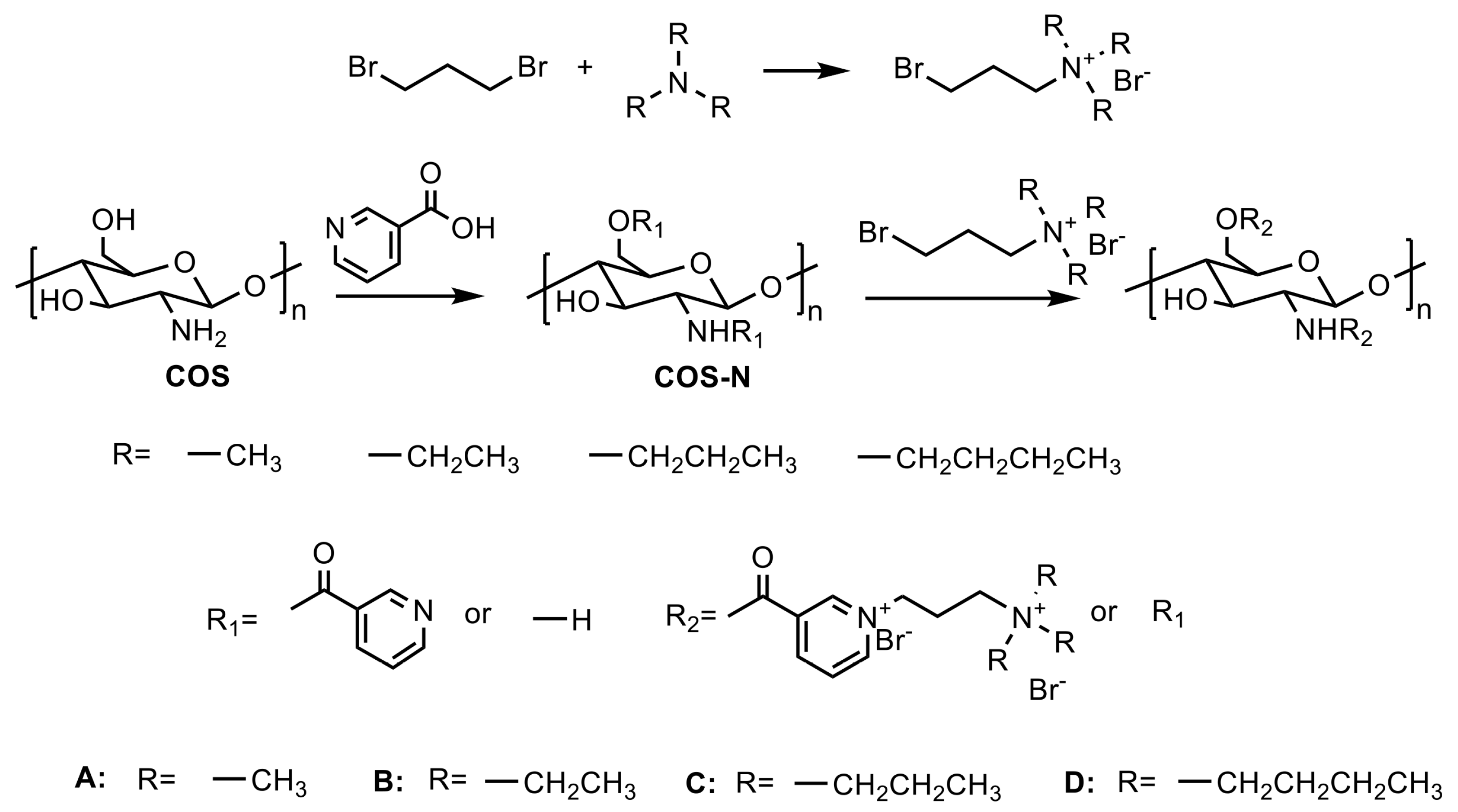 Polymers 15 00014 sch001
