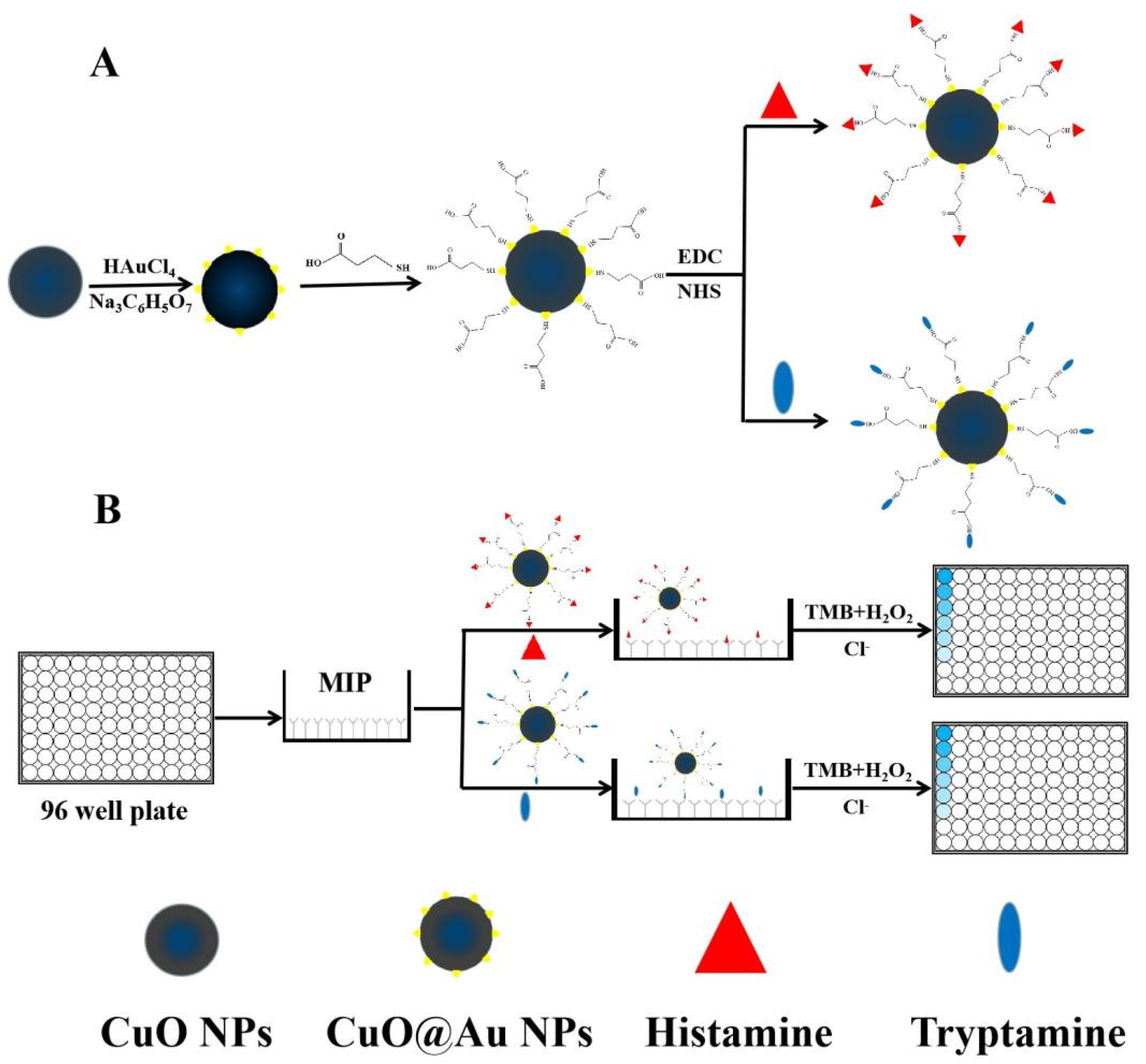 Polymers 15 00021 sch001 Polymers 15 00021 sch001