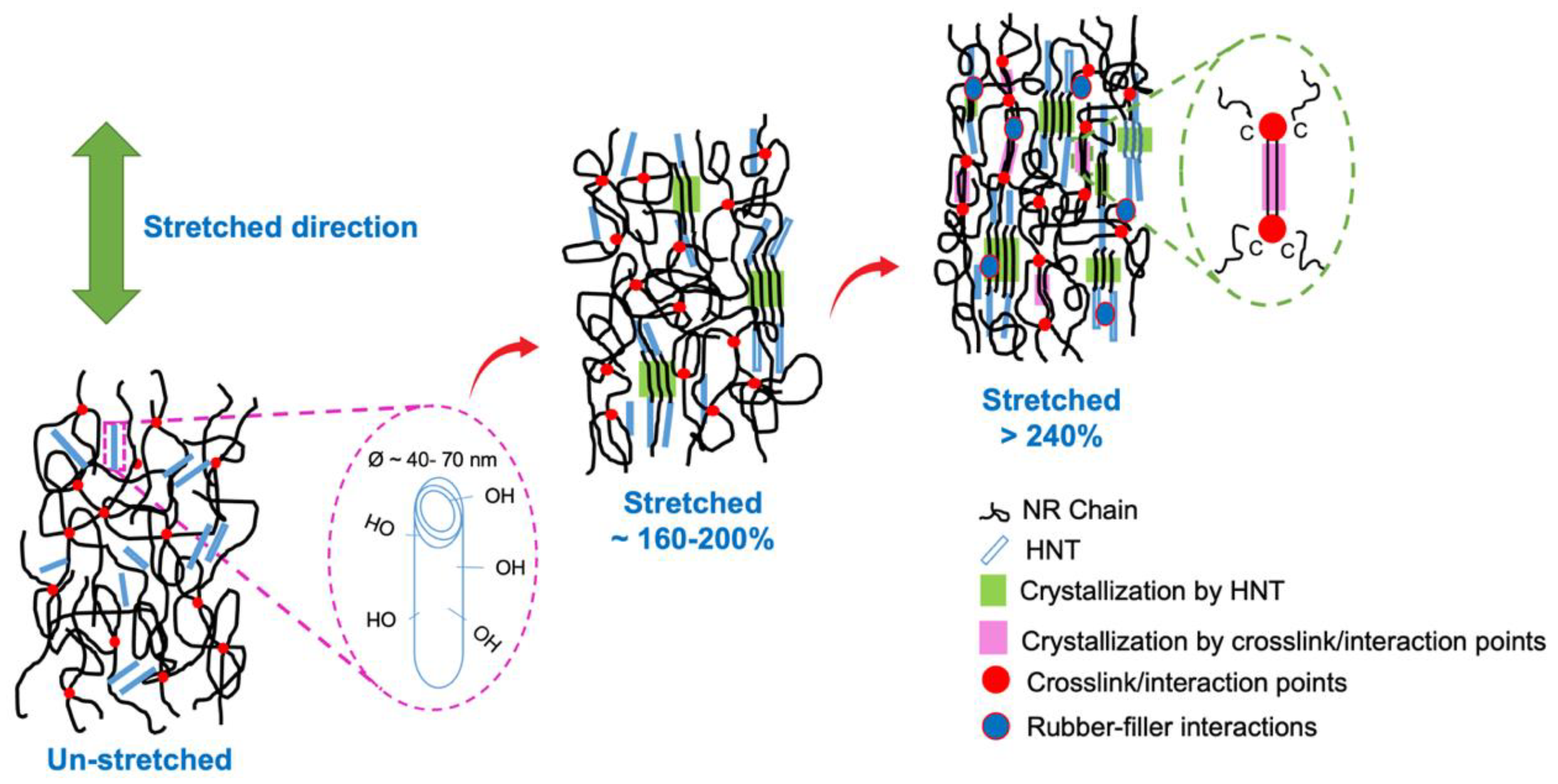 Polymers 15 00029 g014 Polymers 15 00029 g014