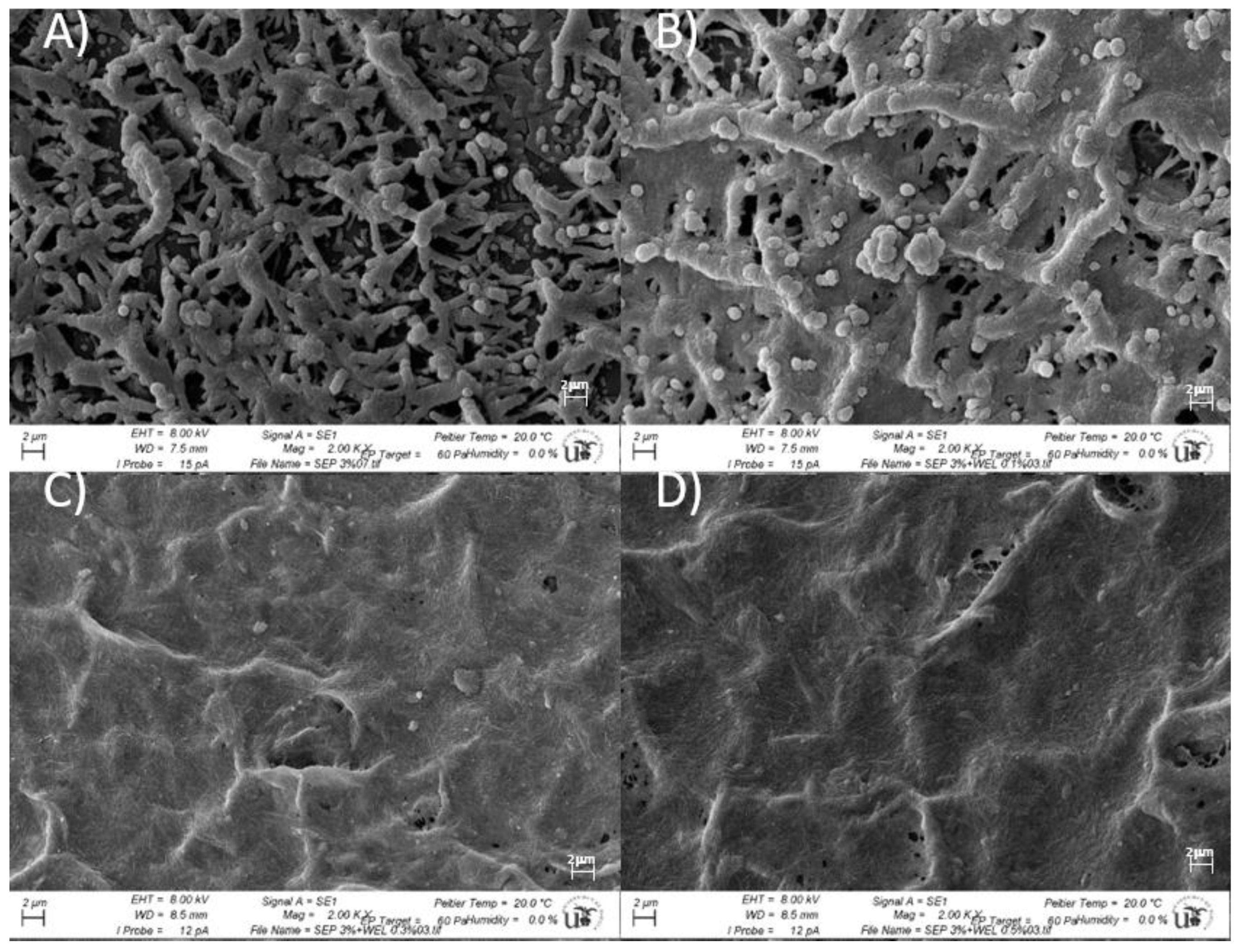 Polymers 15 00033 g007 Polymers 15 00033 g007