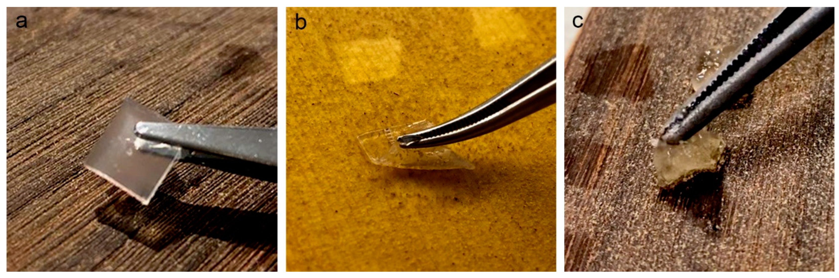 Polymers 15 00036 g001