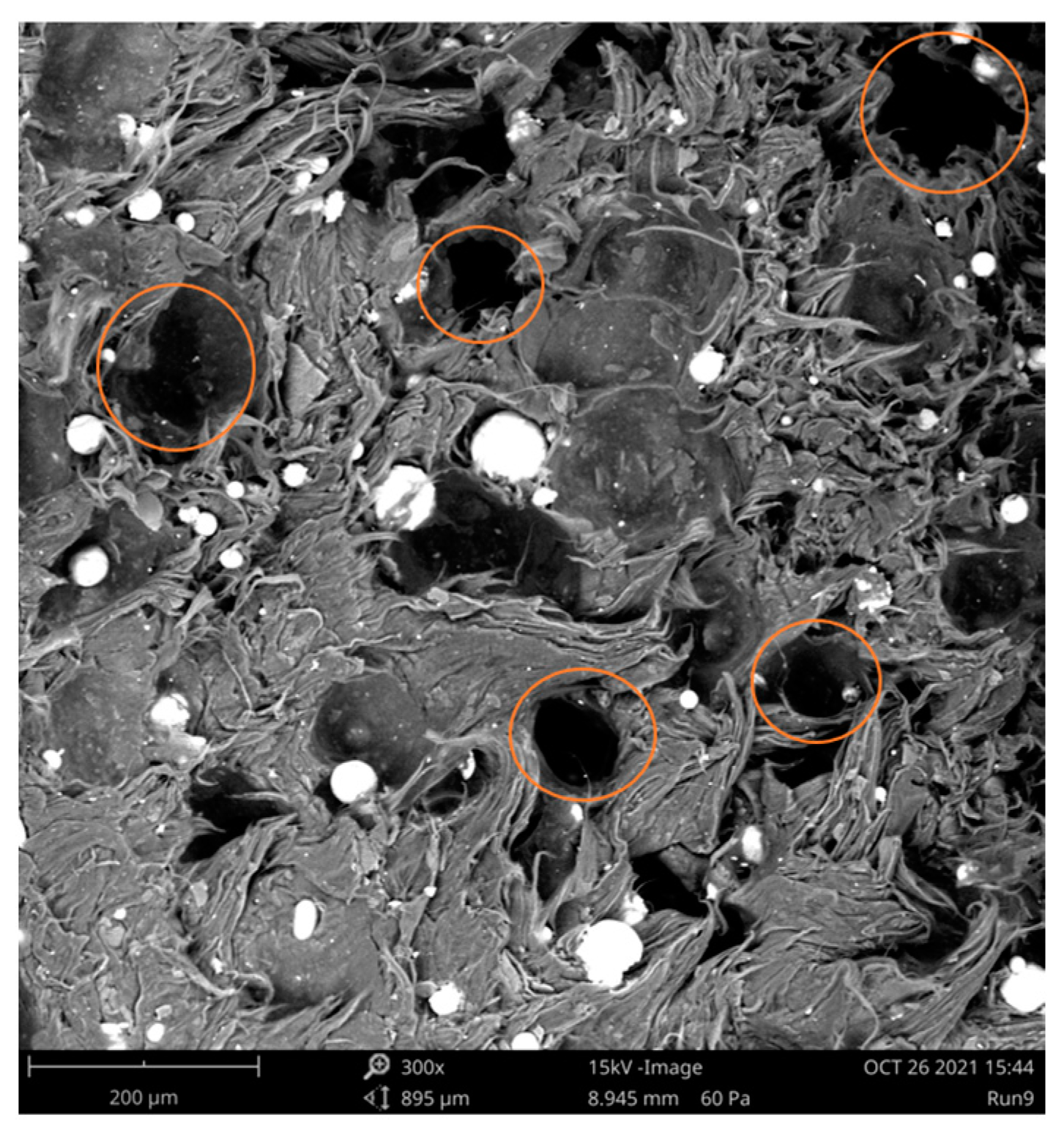 Polymers 15 00039 g008 Polymers 15 00039 g008