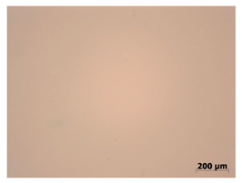 Polymers 15 00042 i002